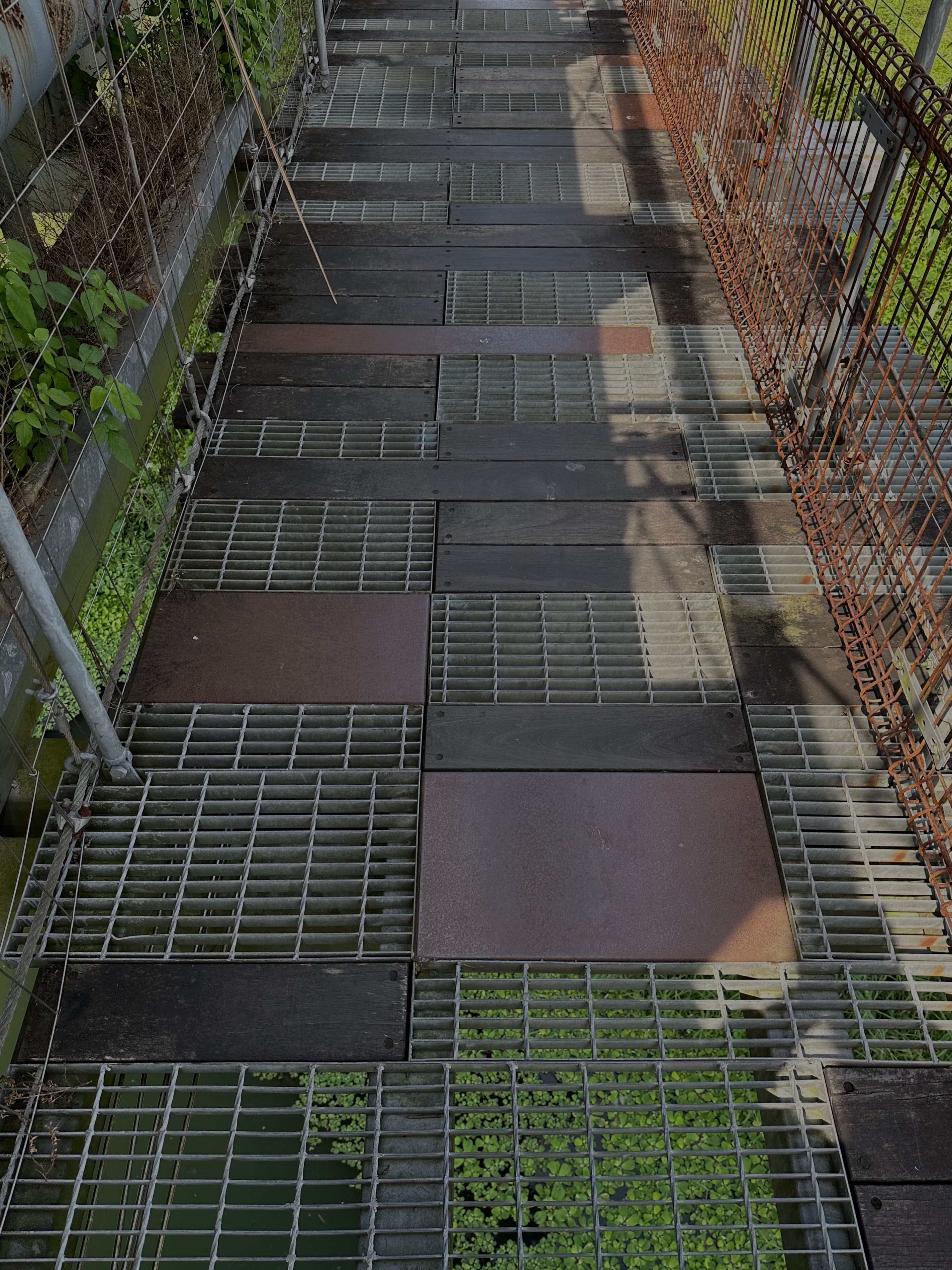 津梅棧道 Jin-Mei Forest Walkway — gallery image 4