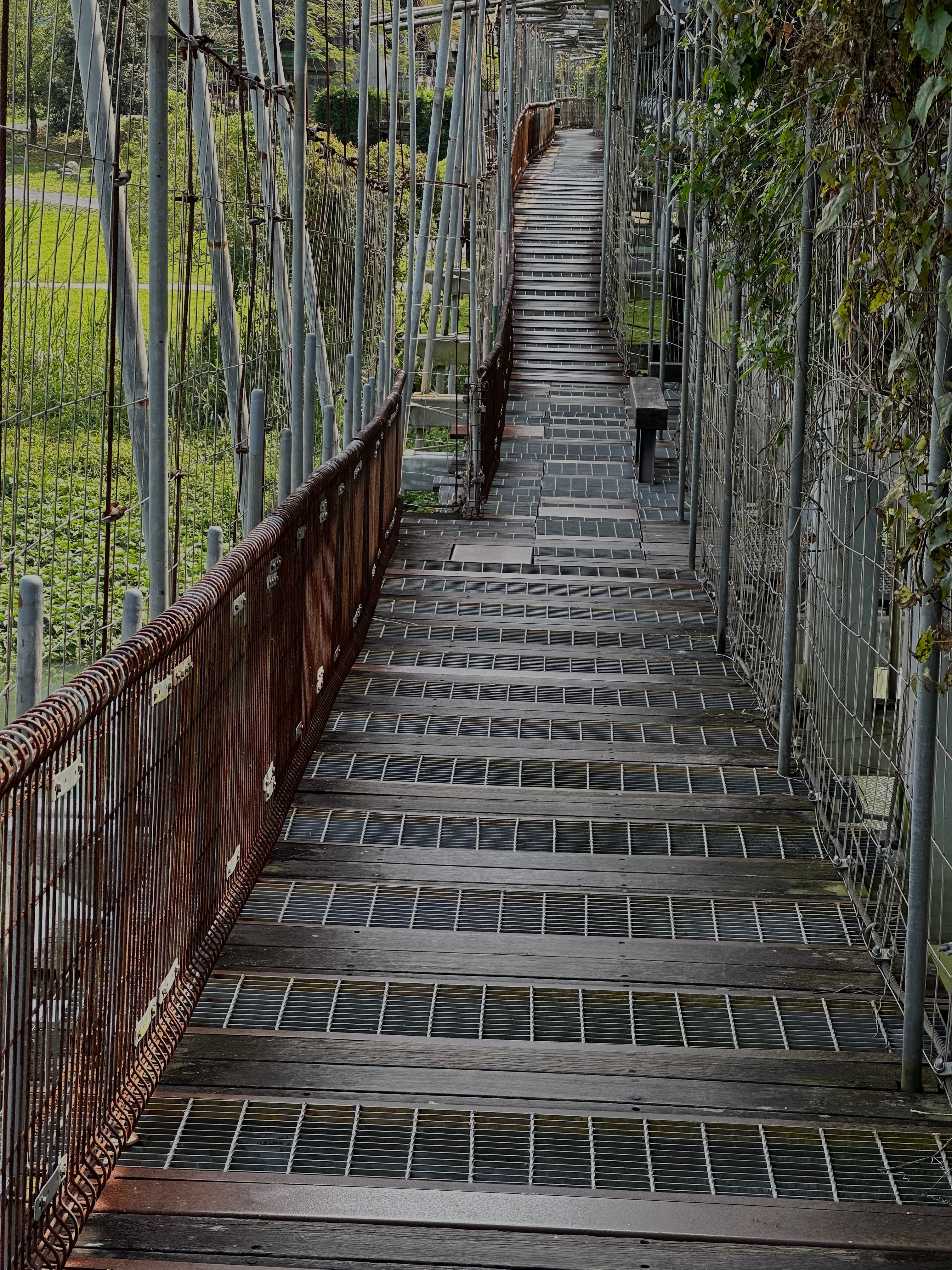津梅棧道 Jin-Mei Forest Walkway — gallery image 1