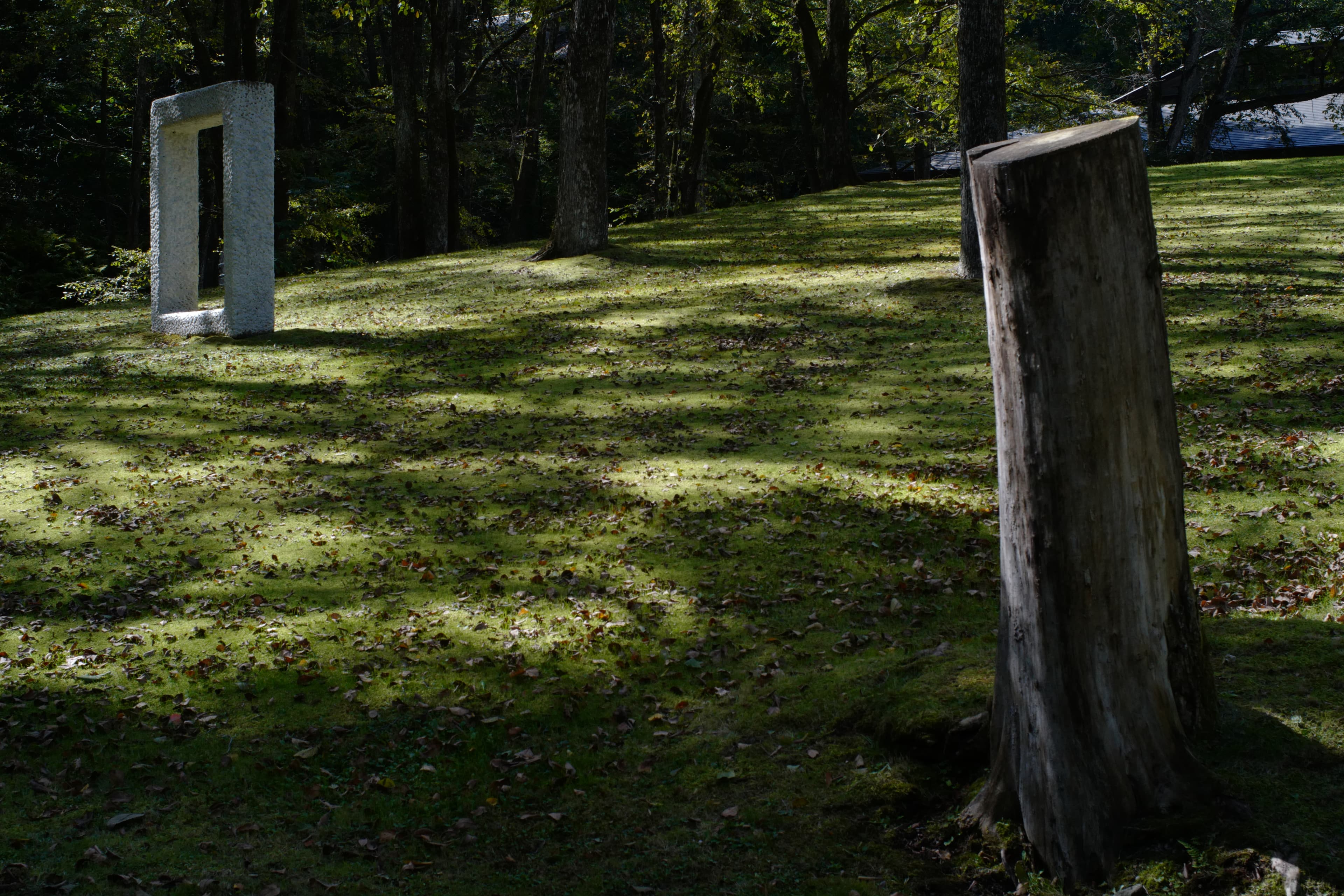 セゾン現代美術館 Sezon Museum of Modern Art — gallery image 5