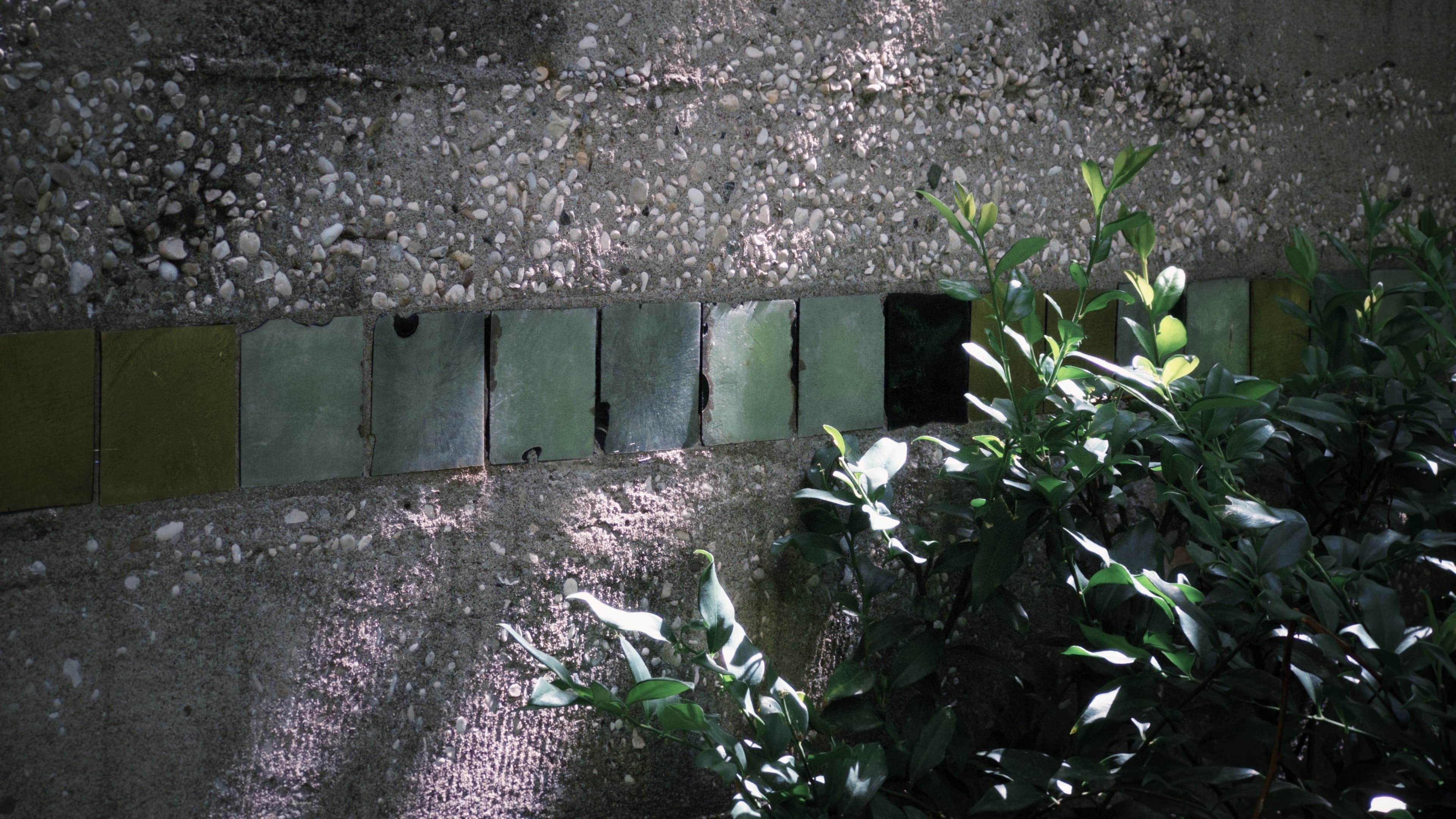 Fondazione Querini Stampalia — gallery image 15