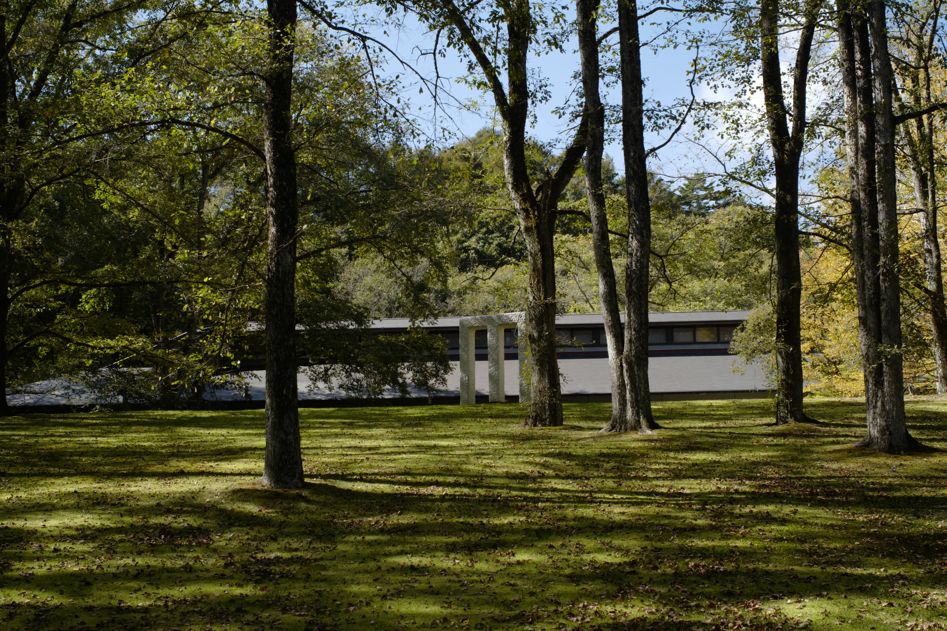 セゾン現代美術館 Sezon Museum of Modern Art — gallery image 8