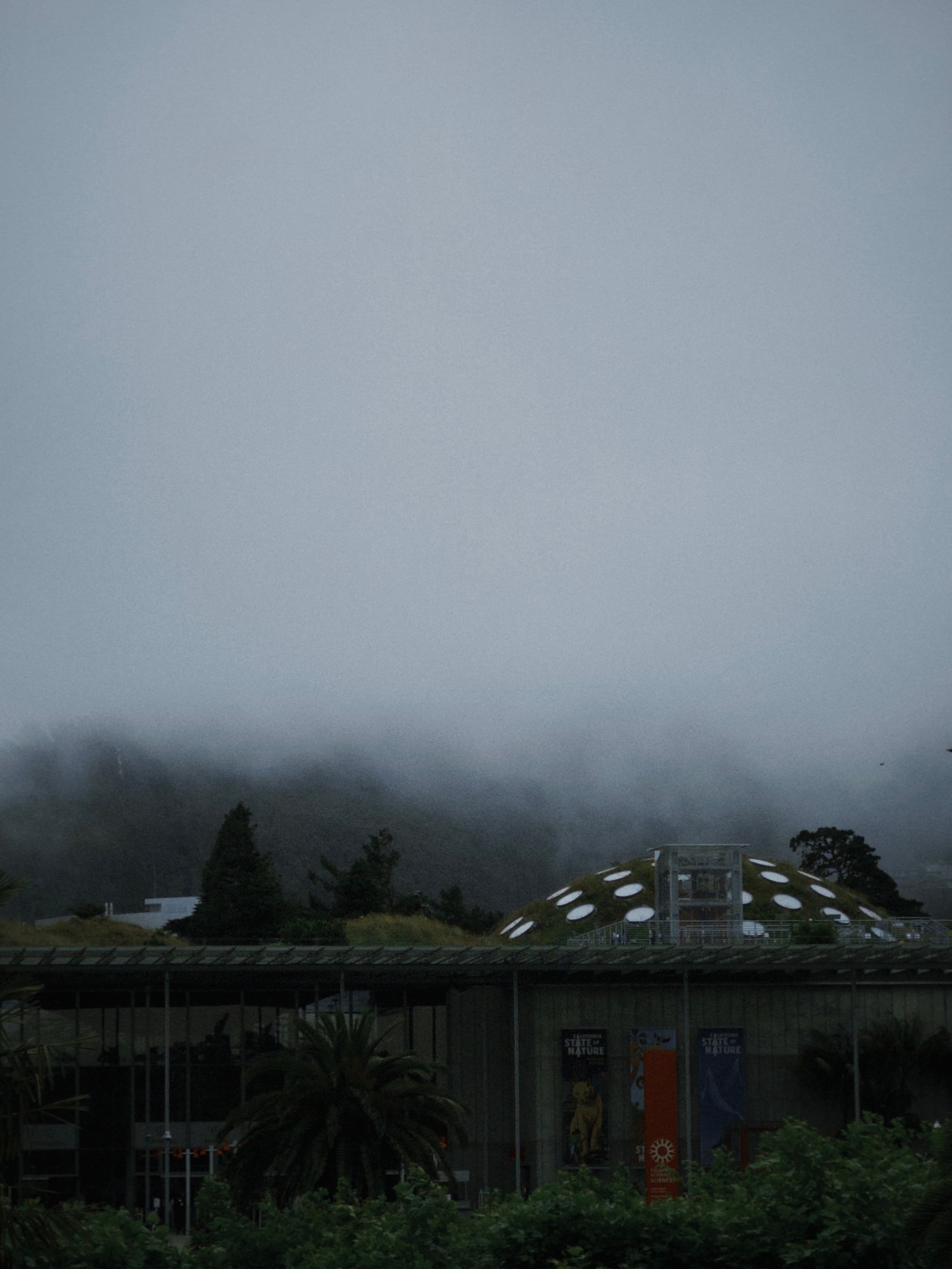 California Academy of Sciences