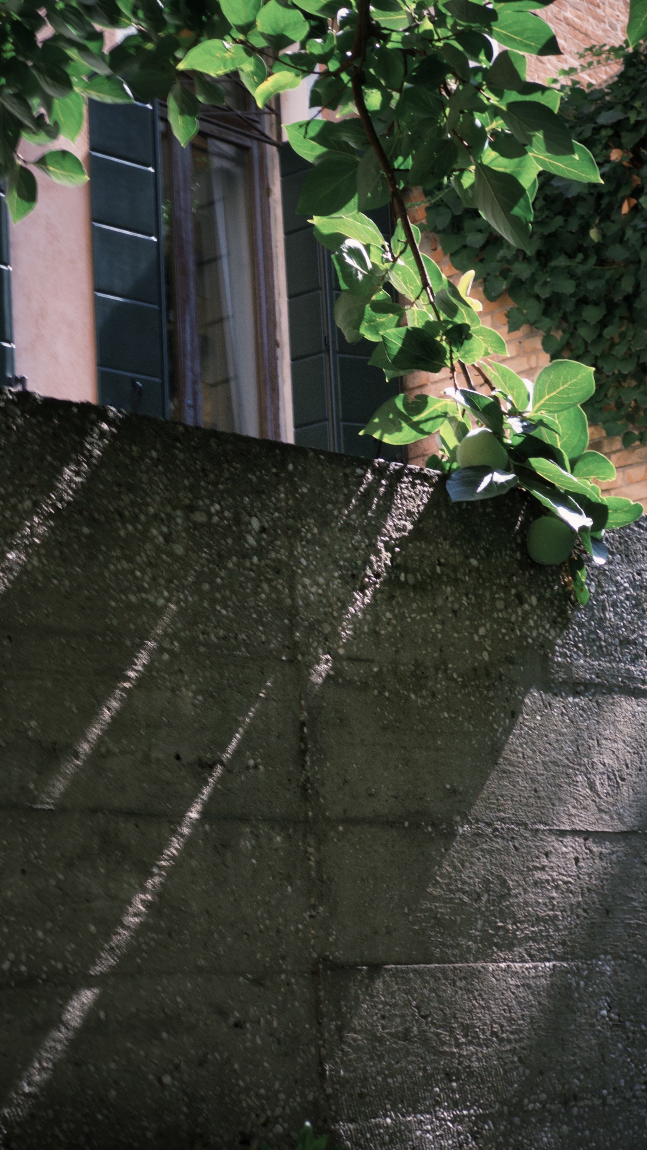 Fondazione Querini Stampalia — gallery image 13