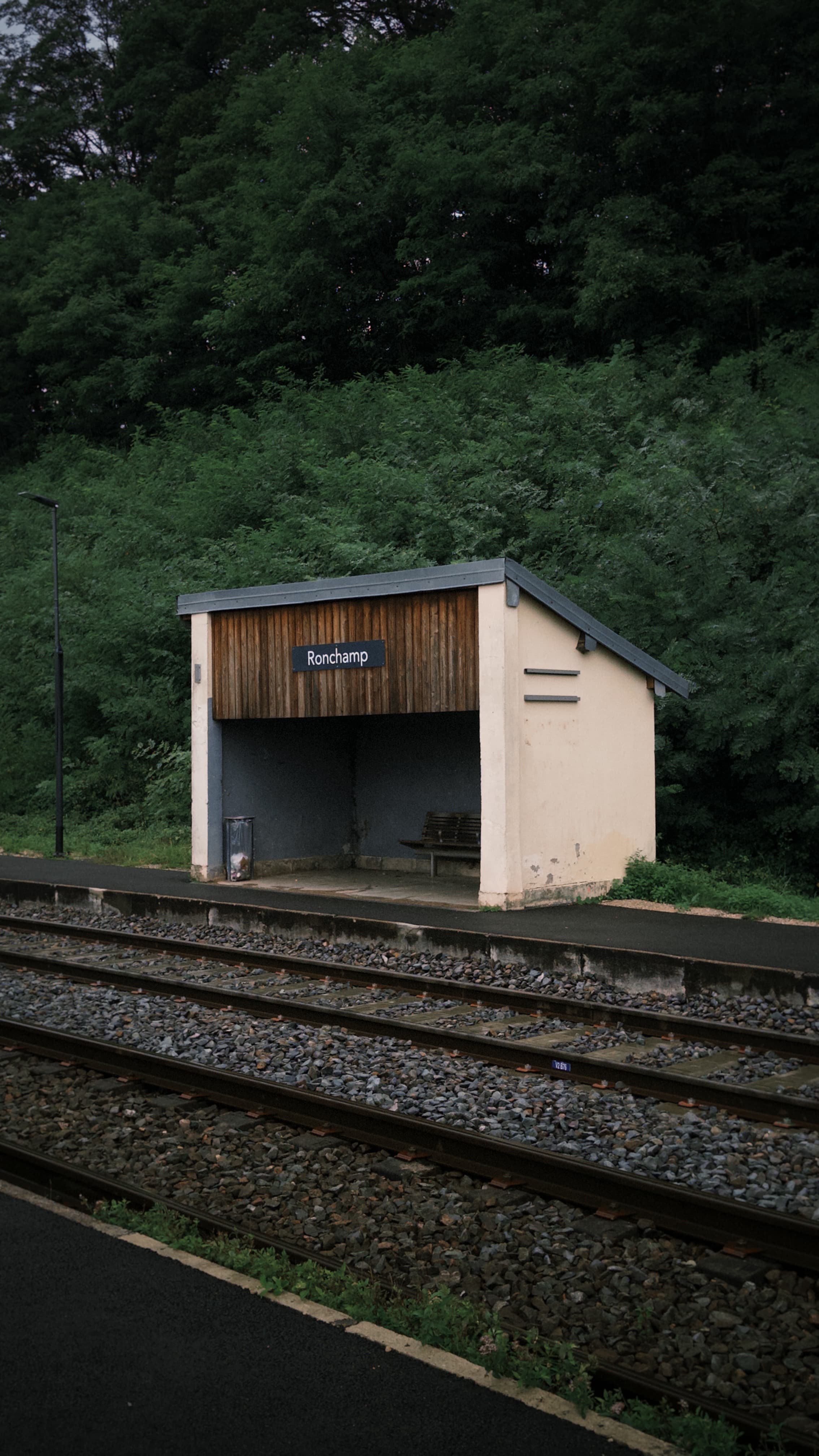 Notre-Dame du Haut — gallery image 7