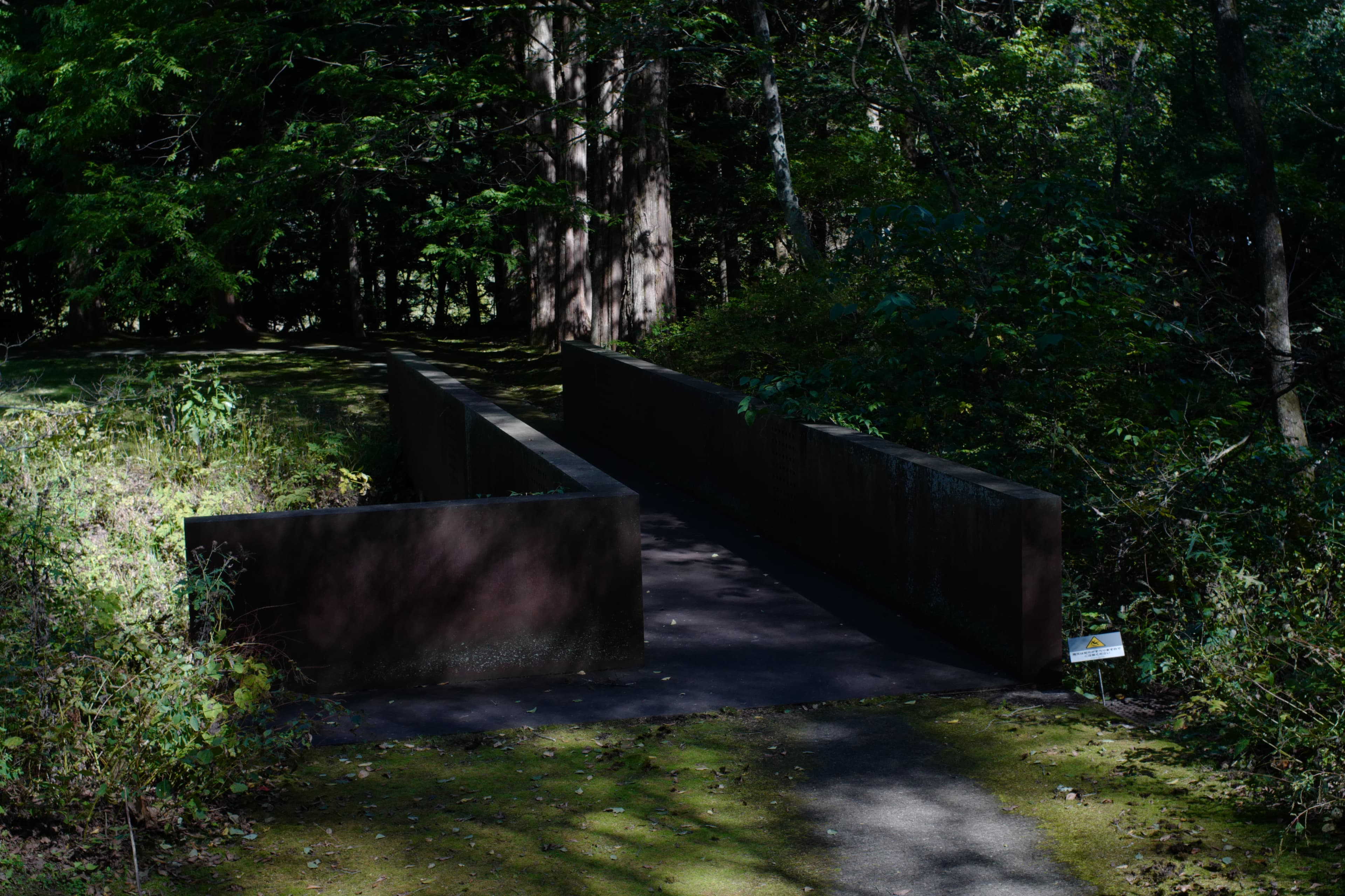 セゾン現代美術館 Sezon Museum of Modern Art — gallery image 15