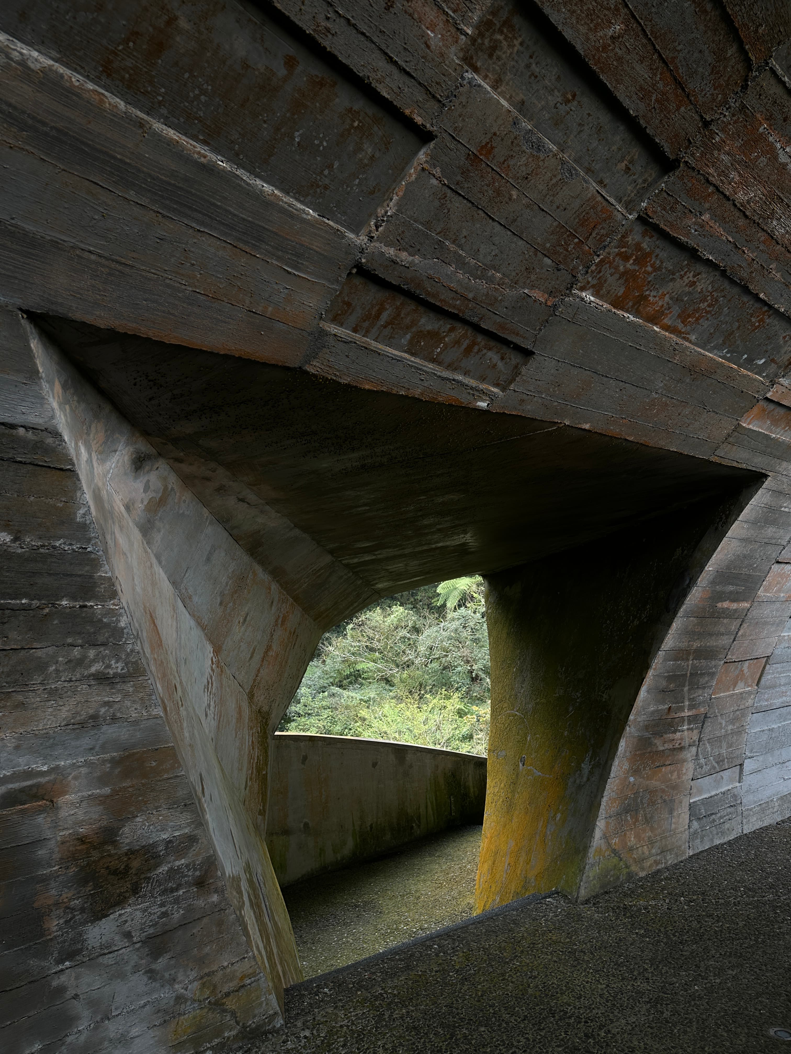 櫻花陵園 Cherry Blossom Cemetery — gallery image 1