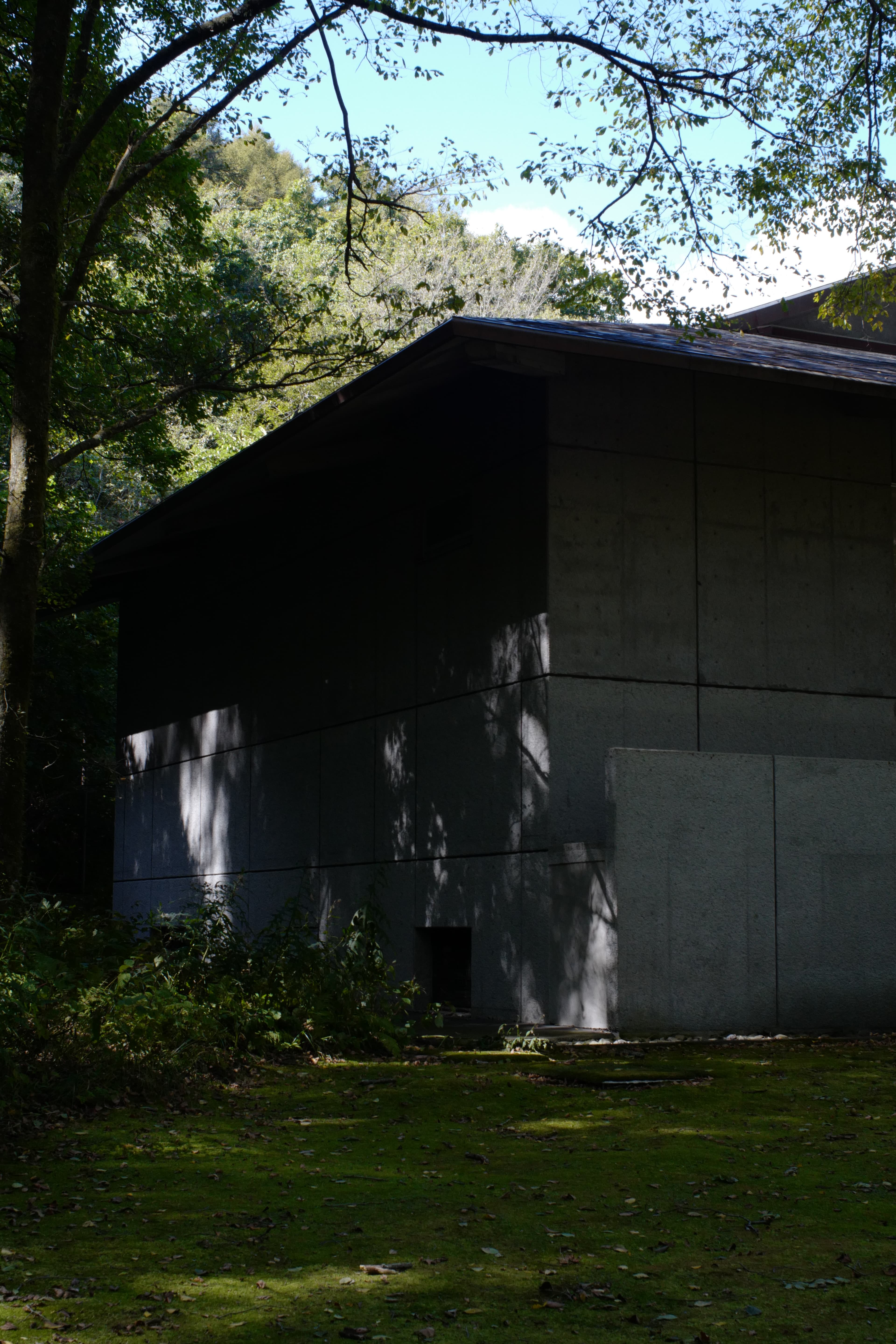 セゾン現代美術館 Sezon Museum of Modern Art — gallery image 11