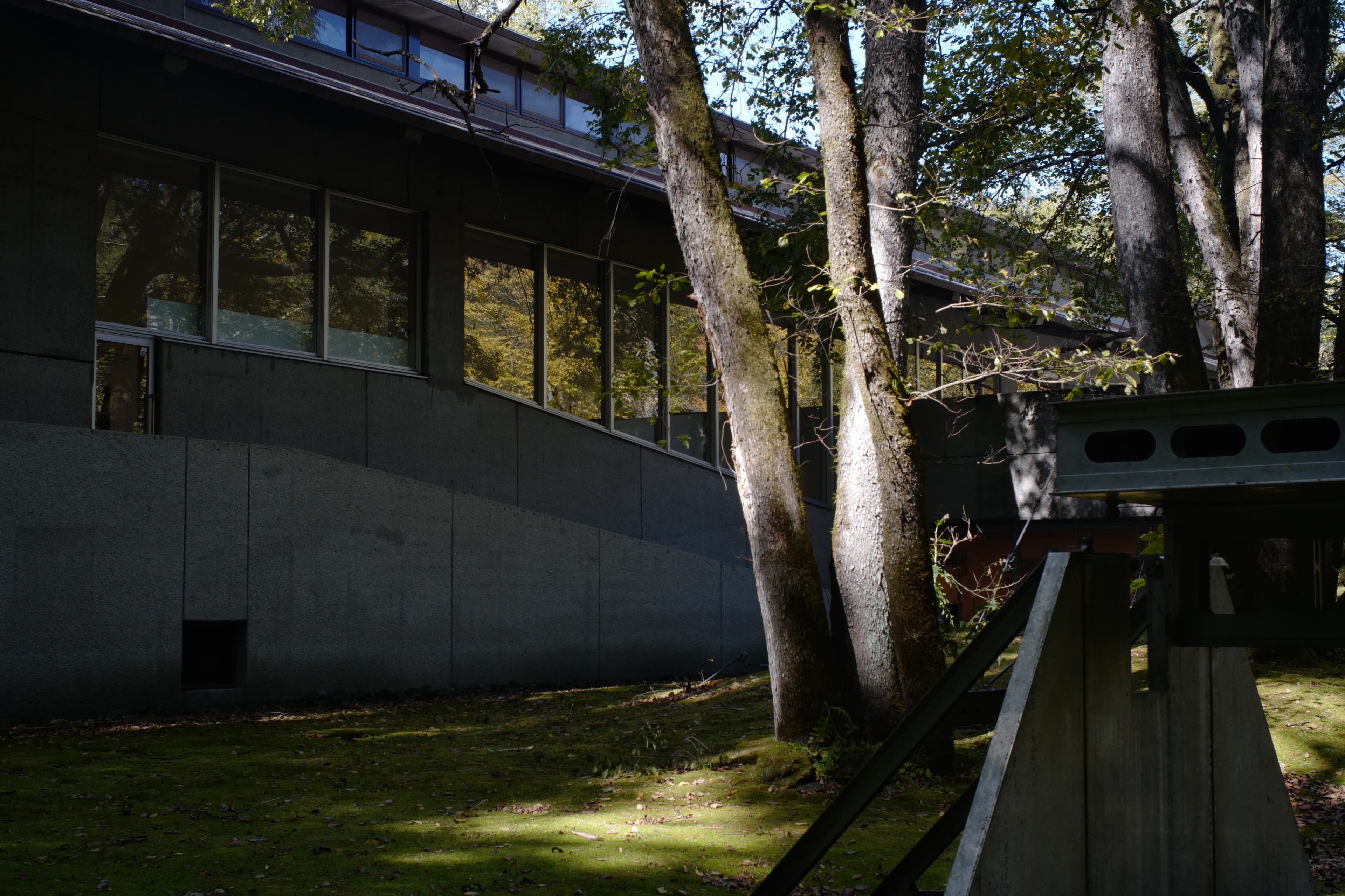 セゾン現代美術館 Sezon Museum of Modern Art — gallery image 12