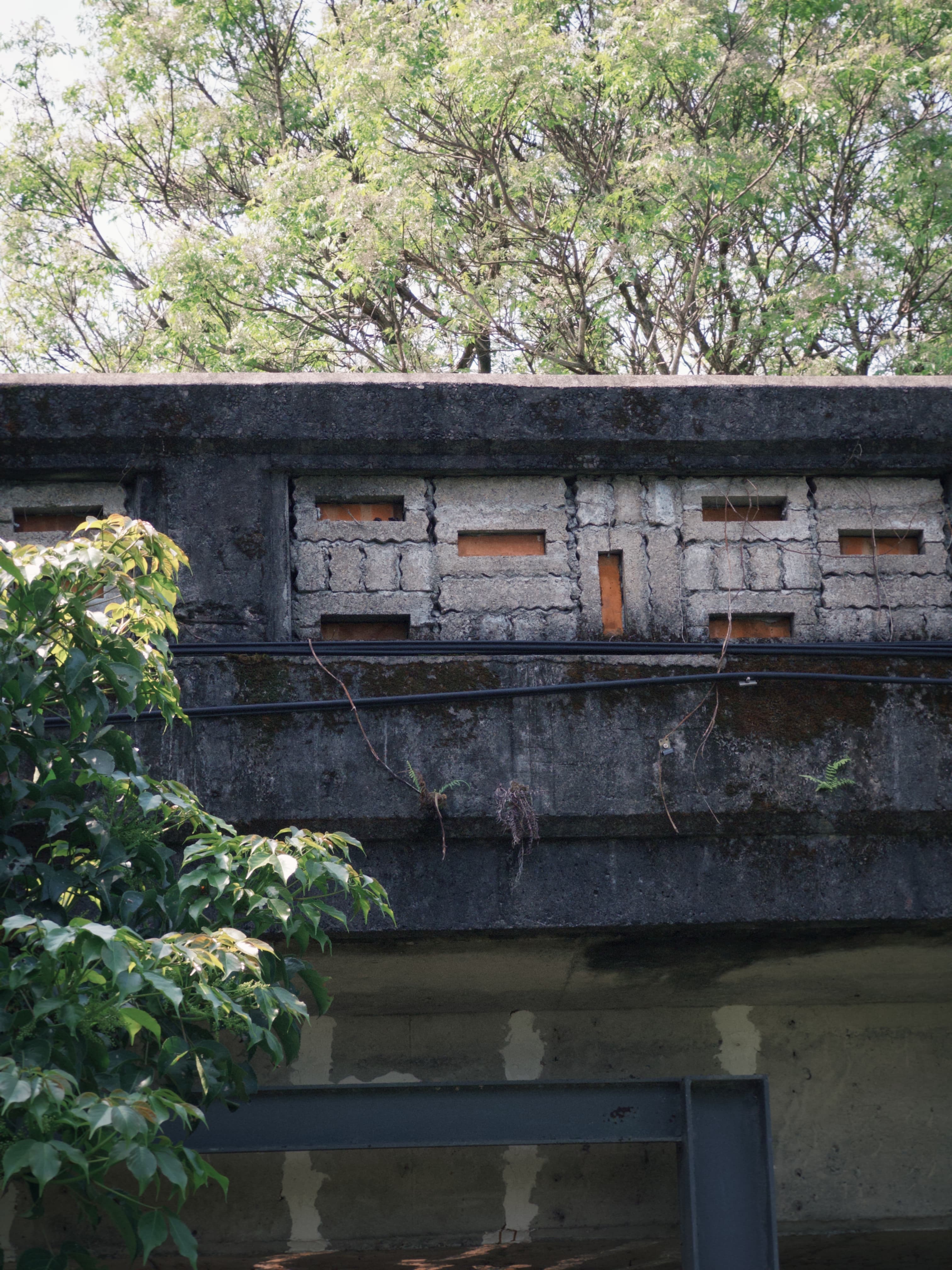 津梅棧道 Jin-Mei Forest Walkway — gallery image 3