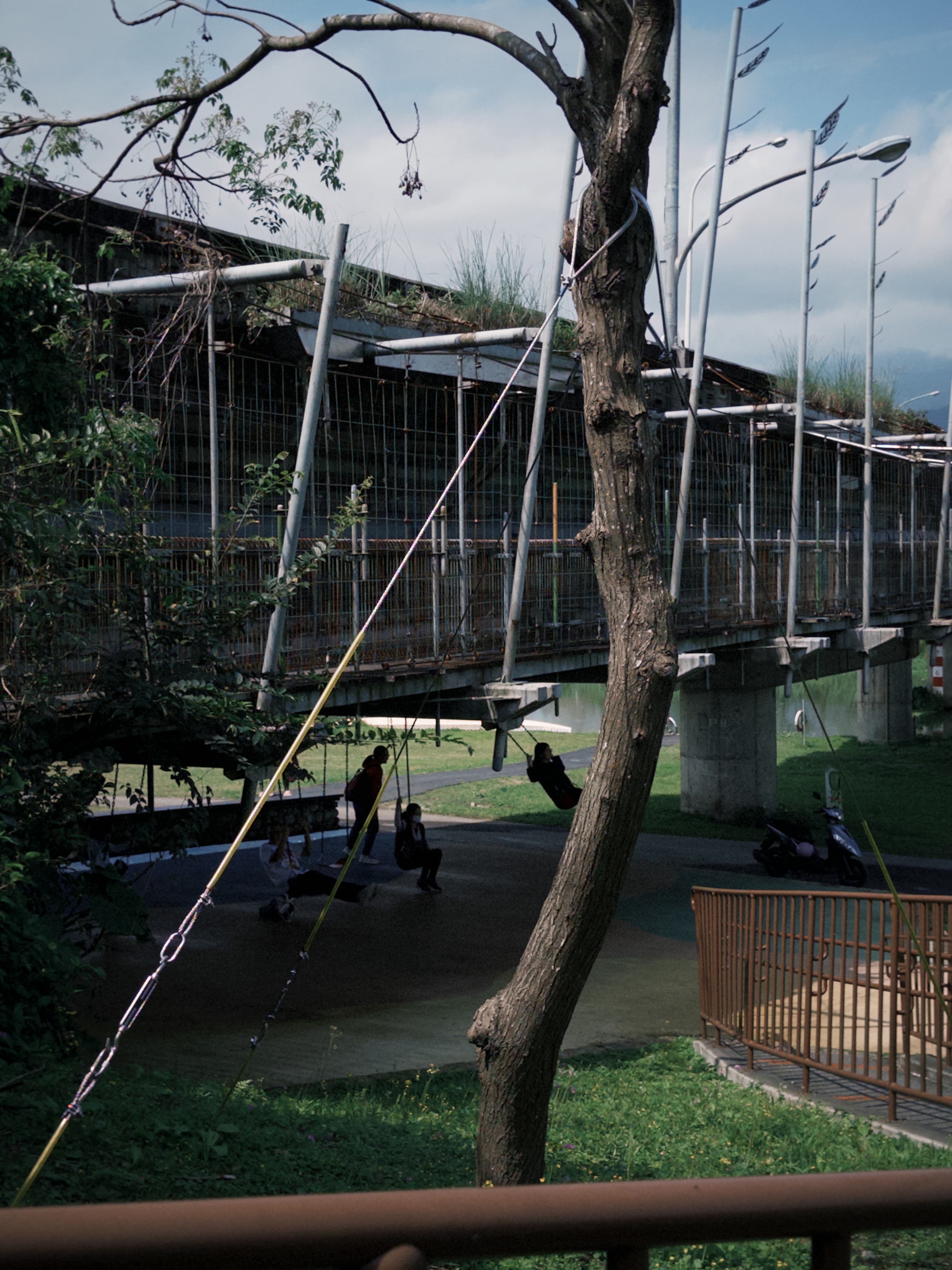 津梅棧道 Jin-Mei Forest Walkway — gallery image 6