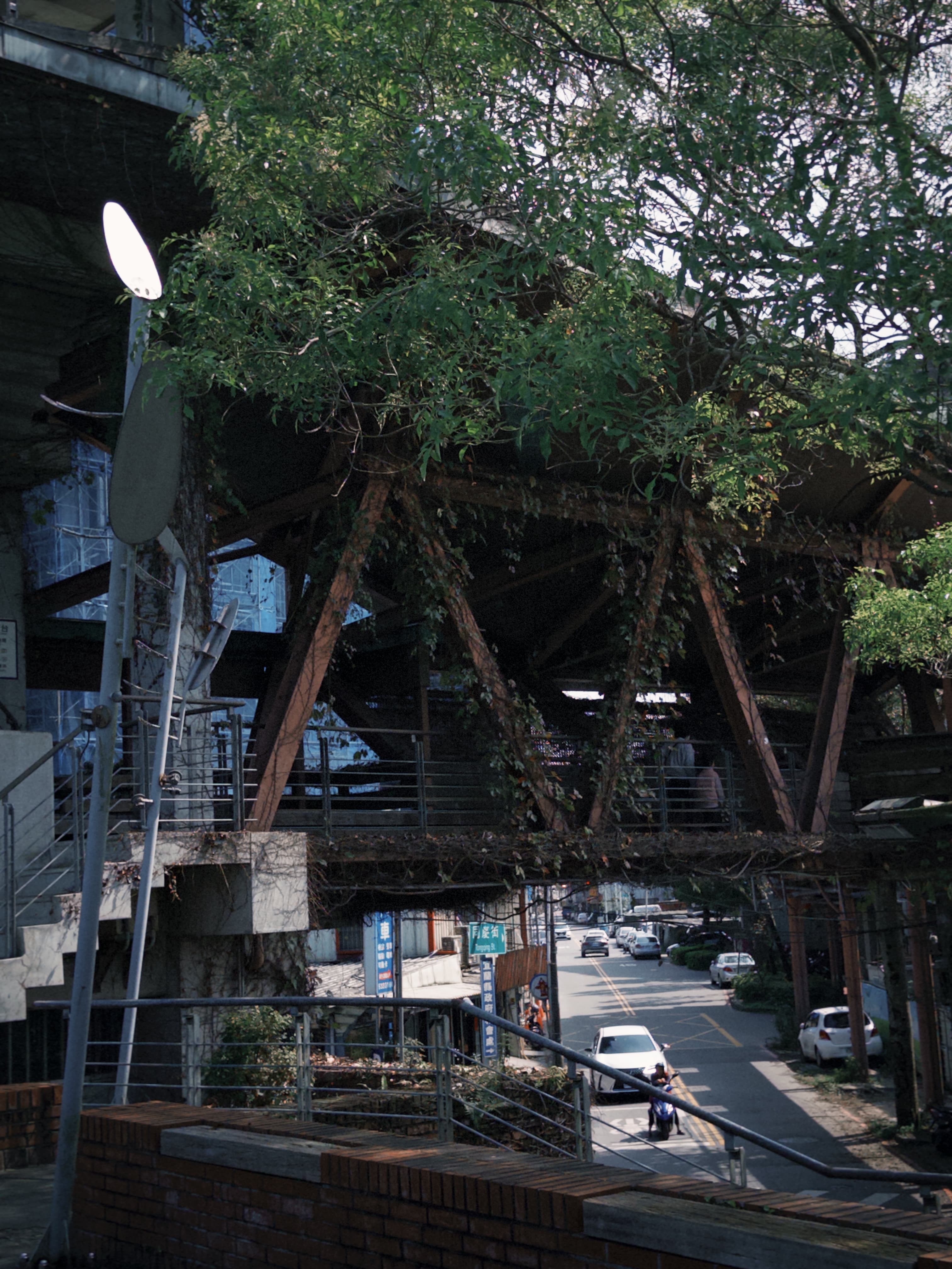 津梅棧道 Jin-Mei Forest Walkway — gallery image 5