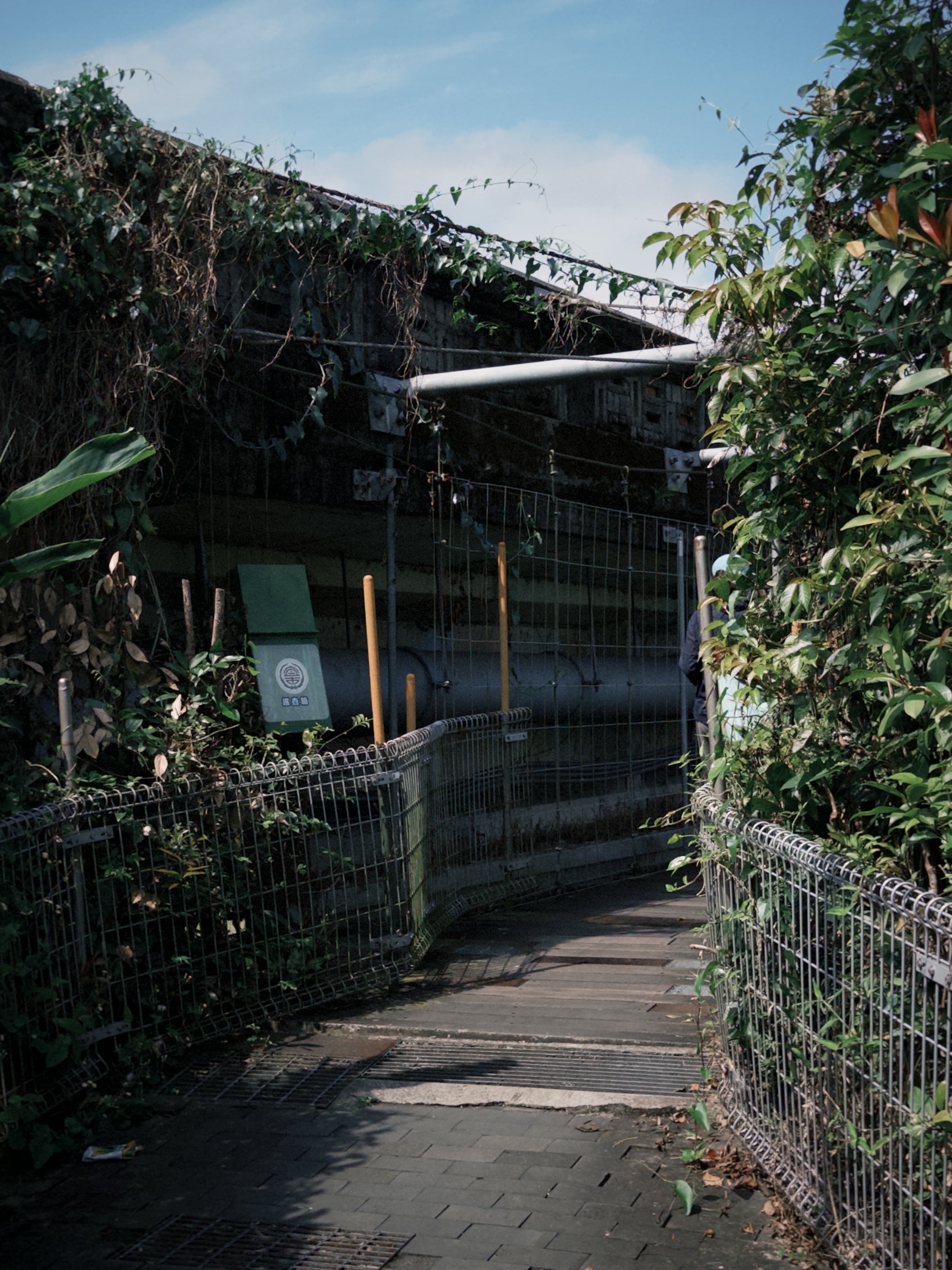 津梅棧道 Jin-Mei Forest Walkway — gallery image 7