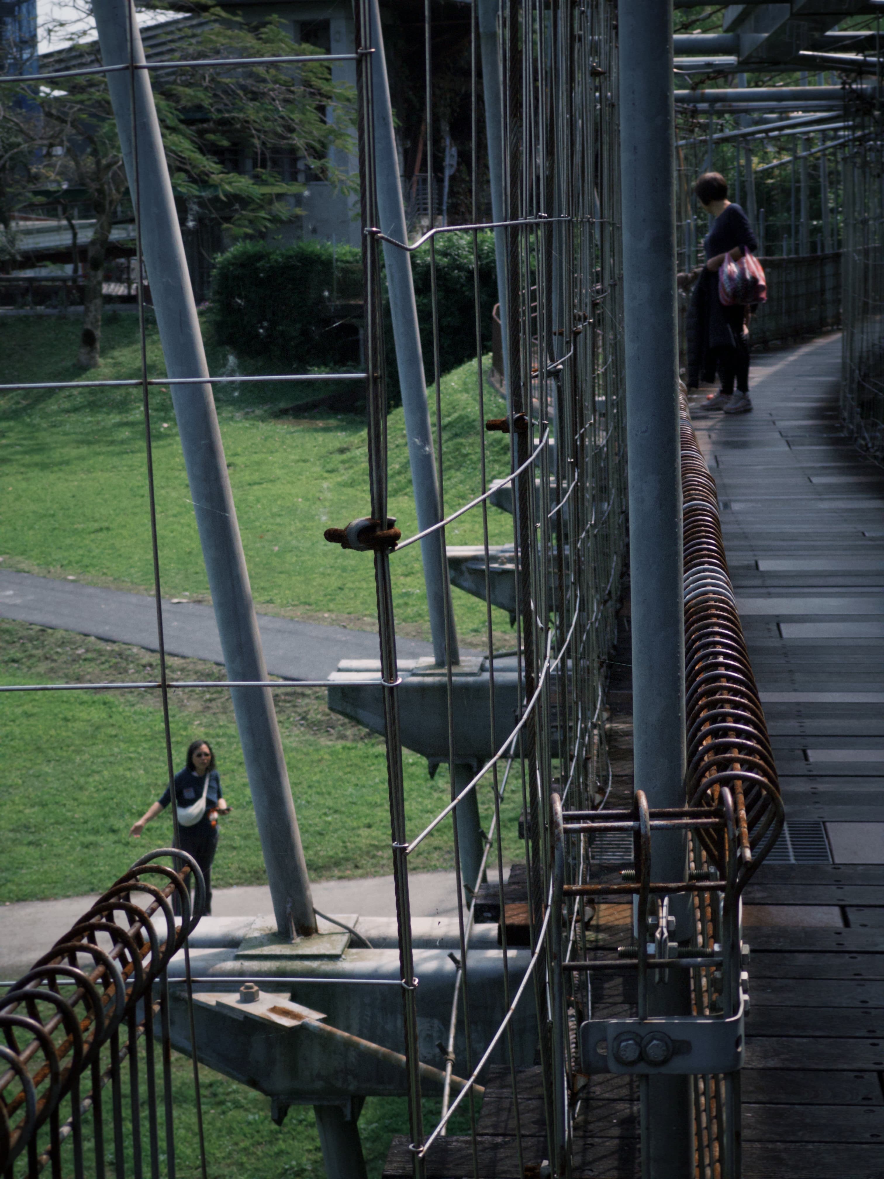 津梅棧道 Jin-Mei Forest Walkway — gallery image 12