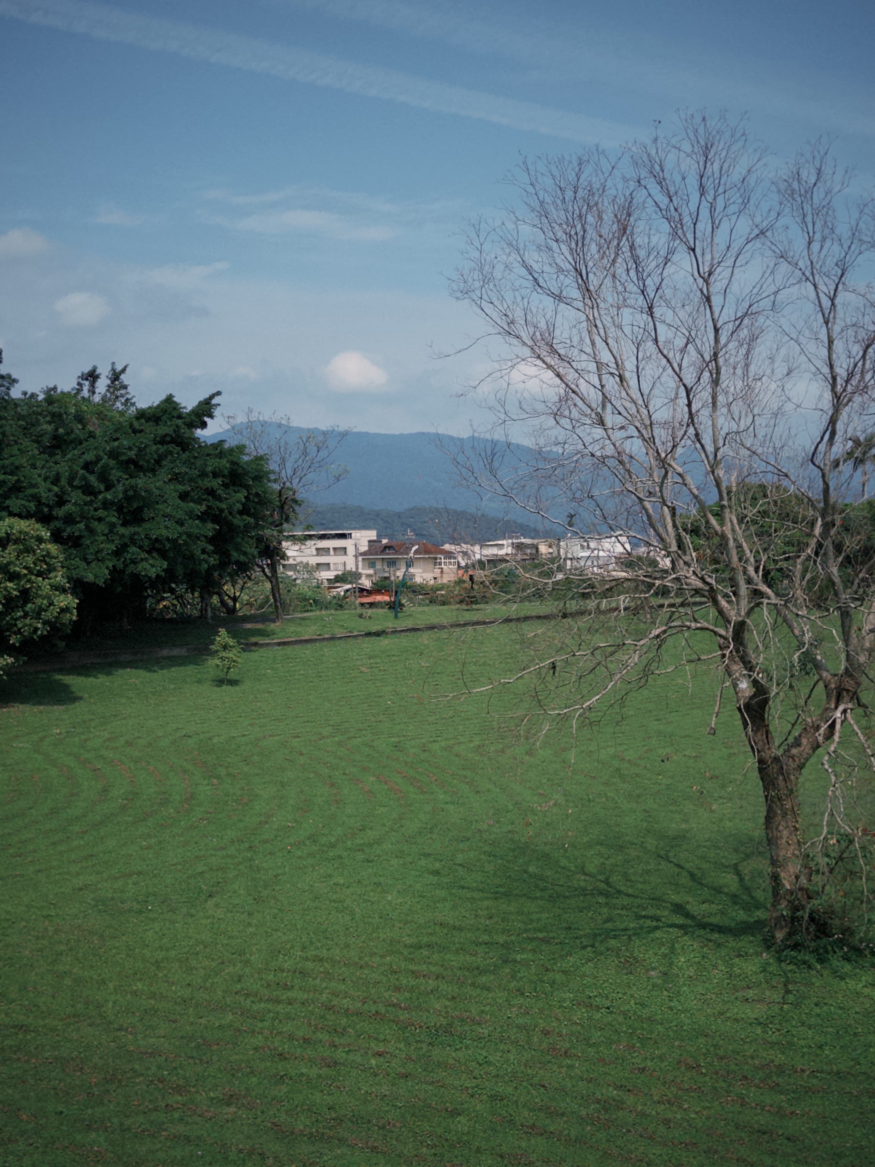 津梅棧道 Jin-Mei Forest Walkway — gallery image 16