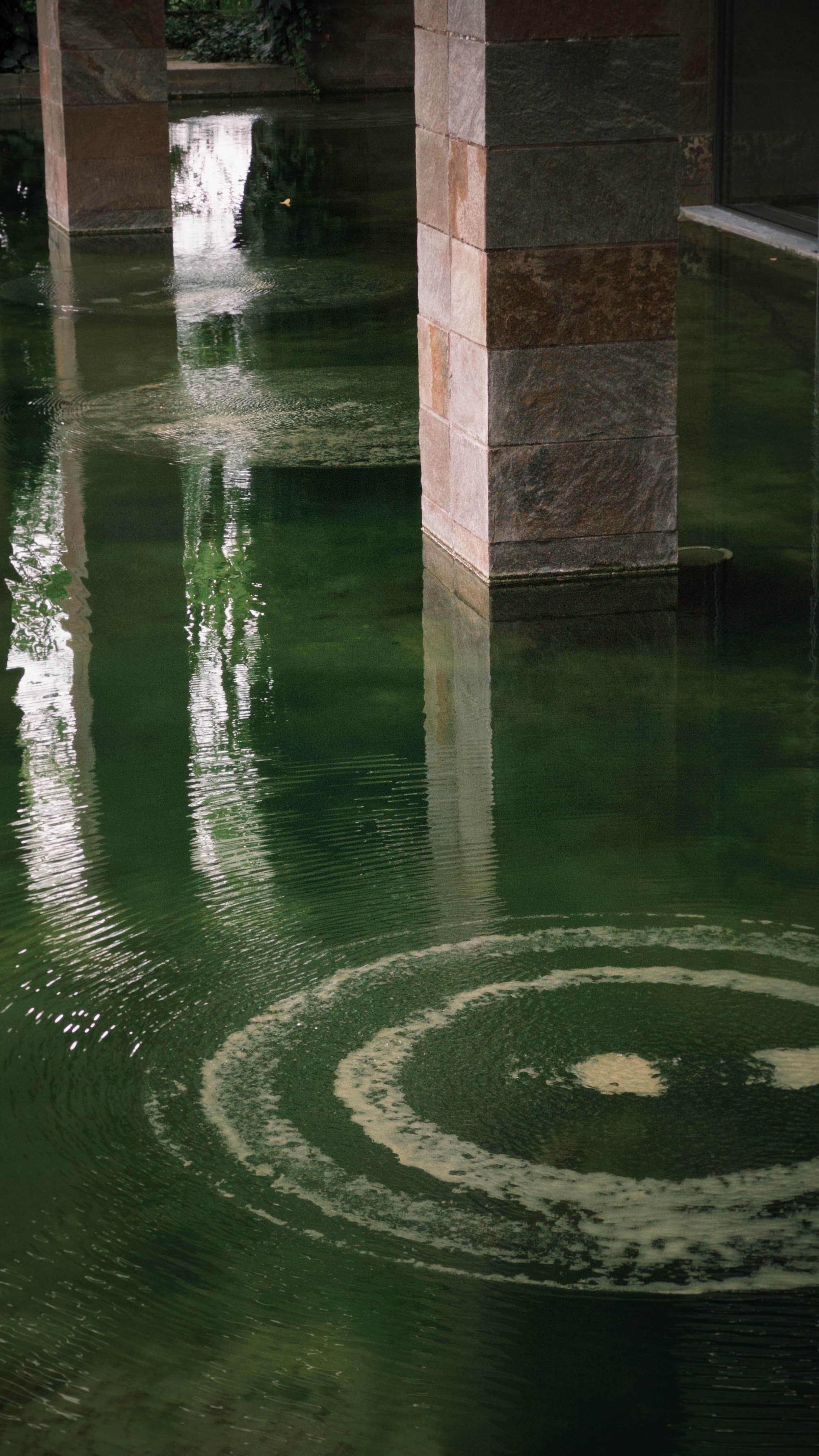 Fondation Beyeler — gallery image 3