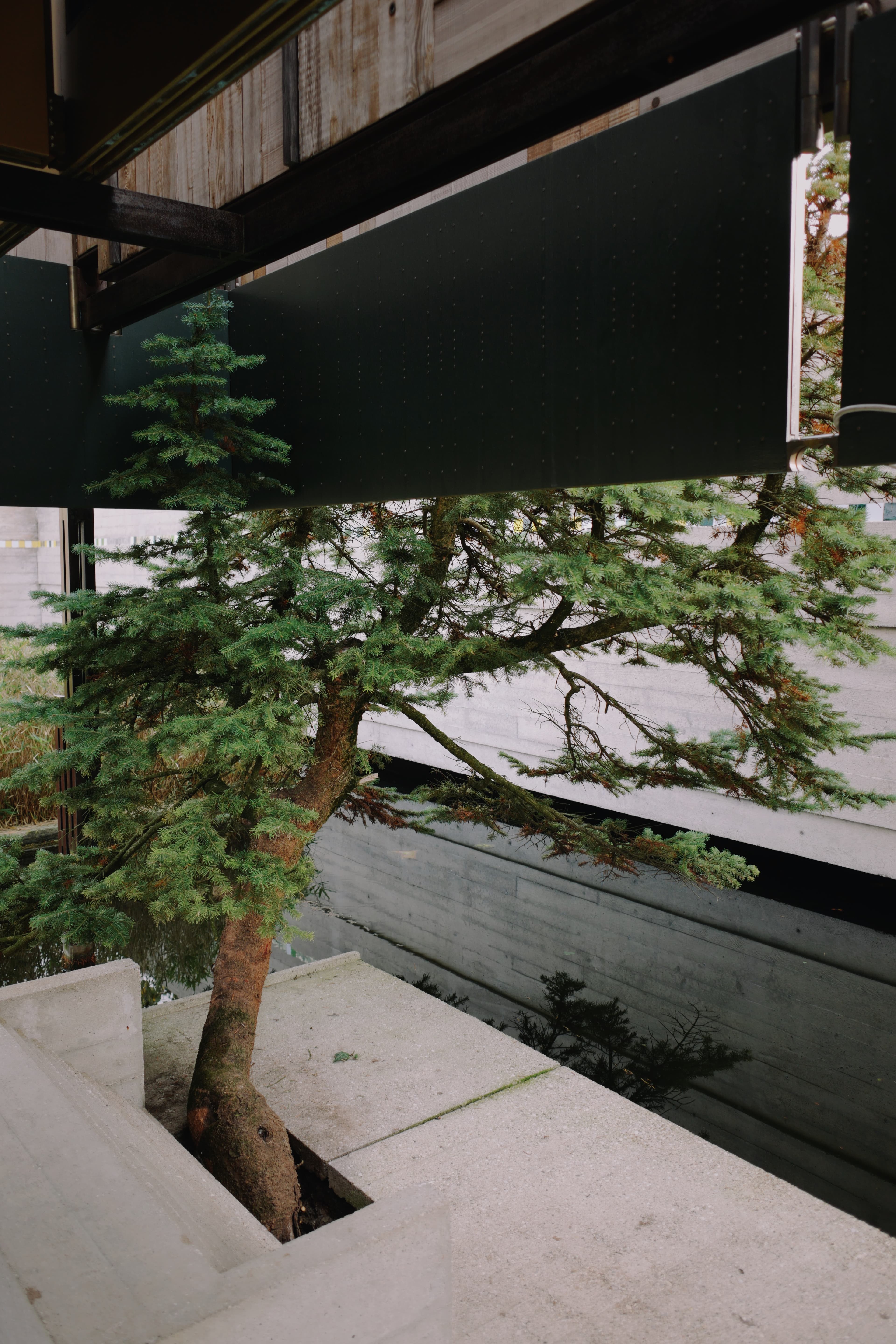 Tomba Brion — gallery image 2