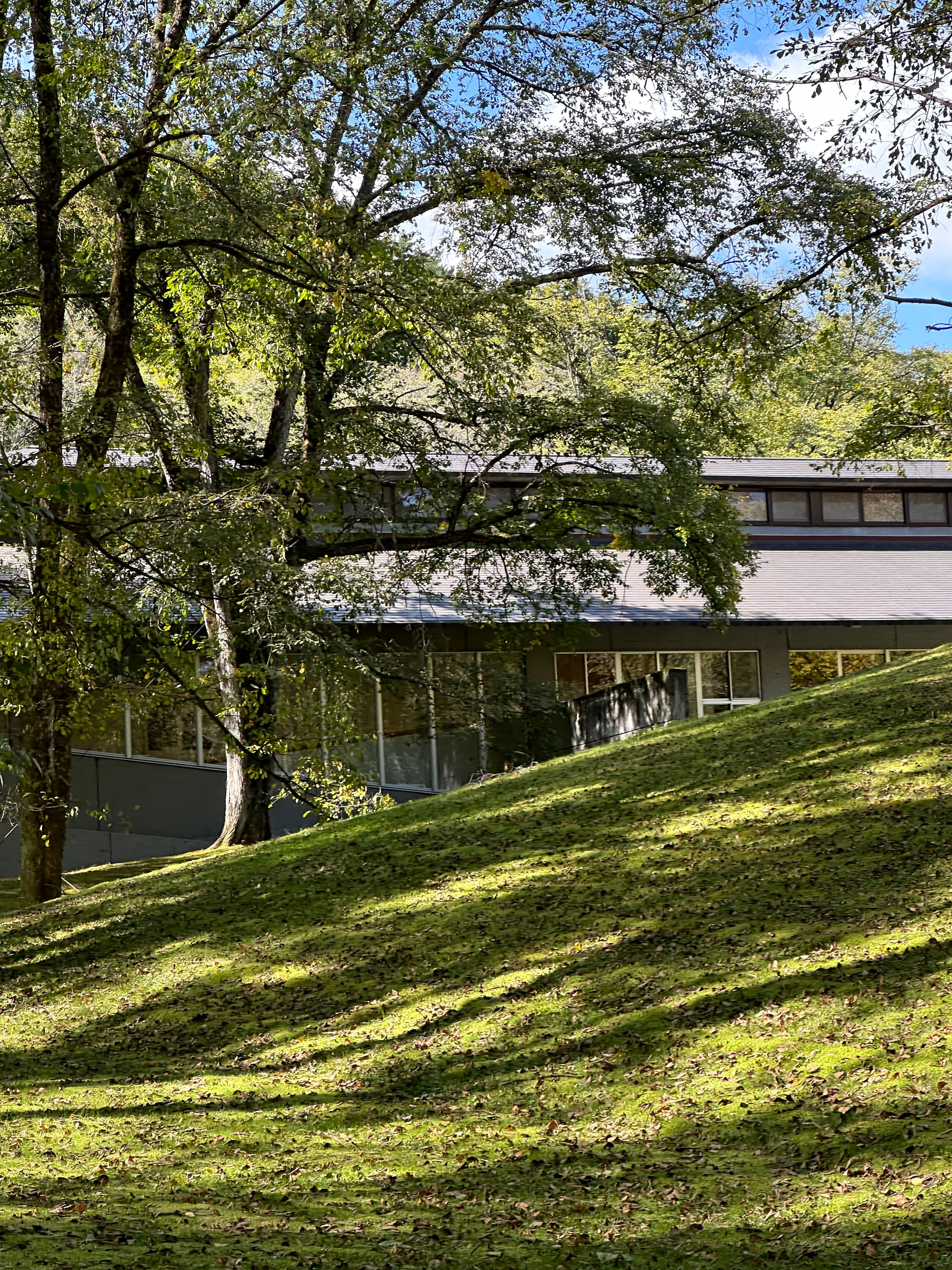 セゾン現代美術館 Sezon Museum of Modern Art — gallery image 2