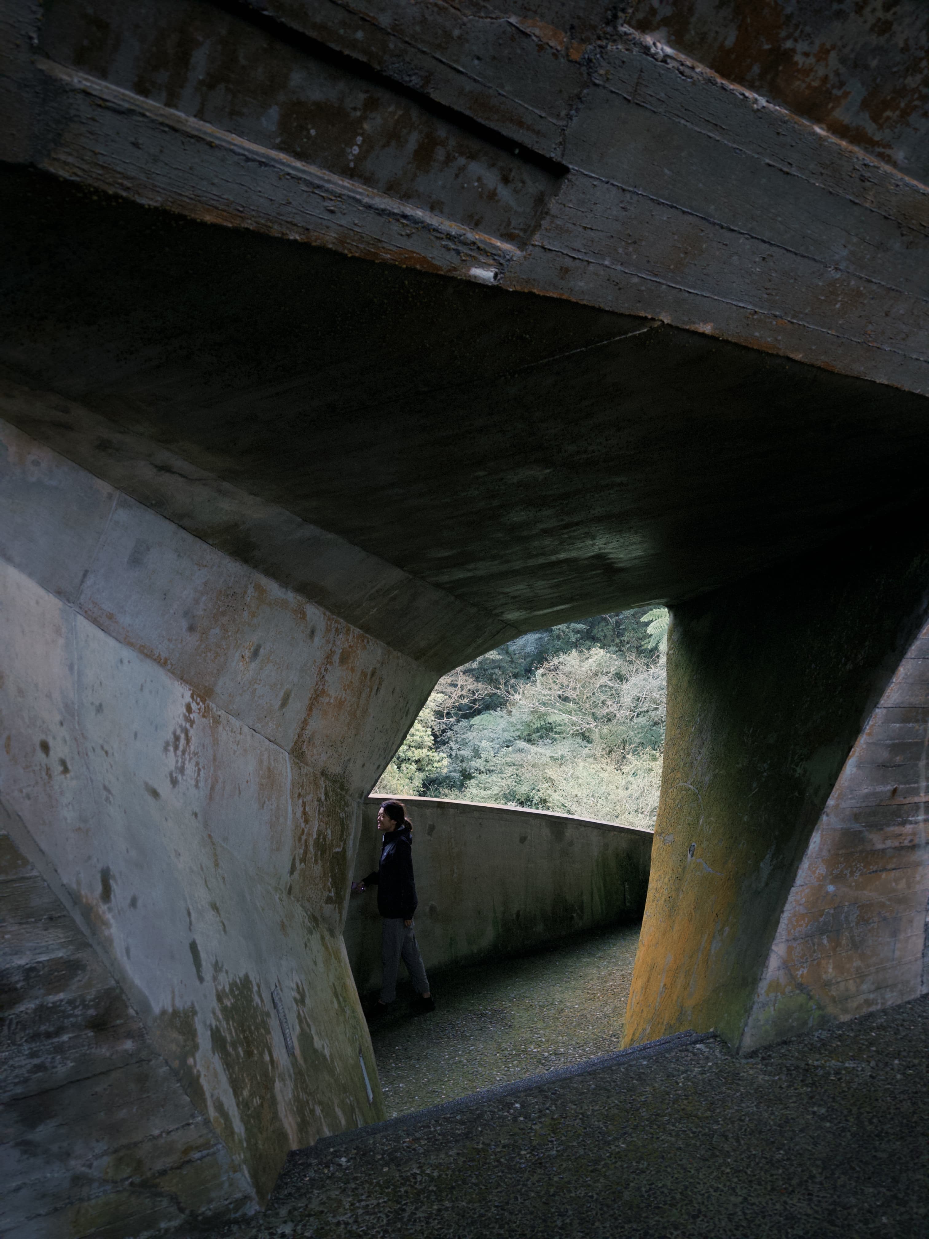櫻花陵園 Cherry Blossom Cemetery — gallery image 3