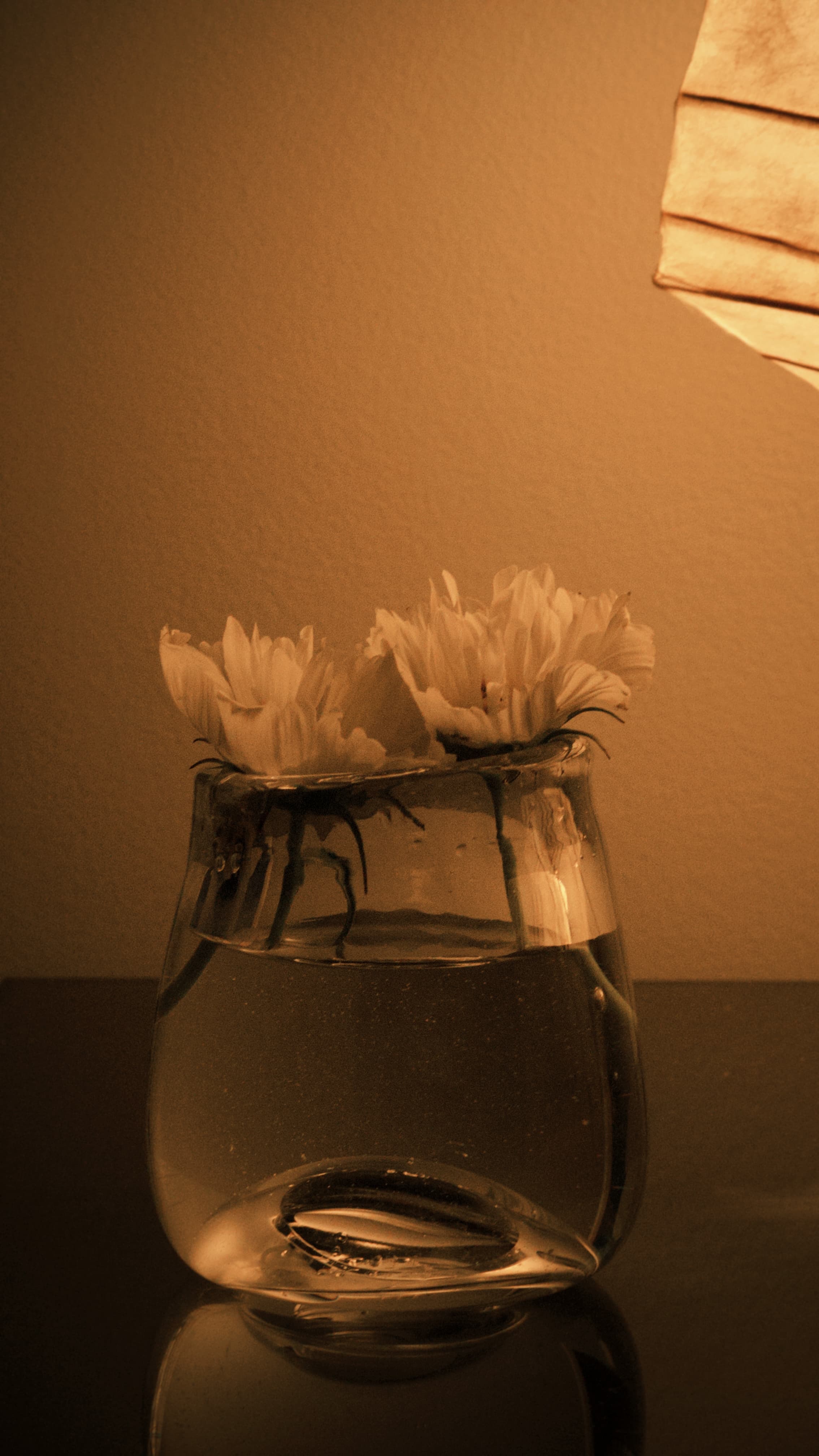 Artifacts: Glass — gallery image 3