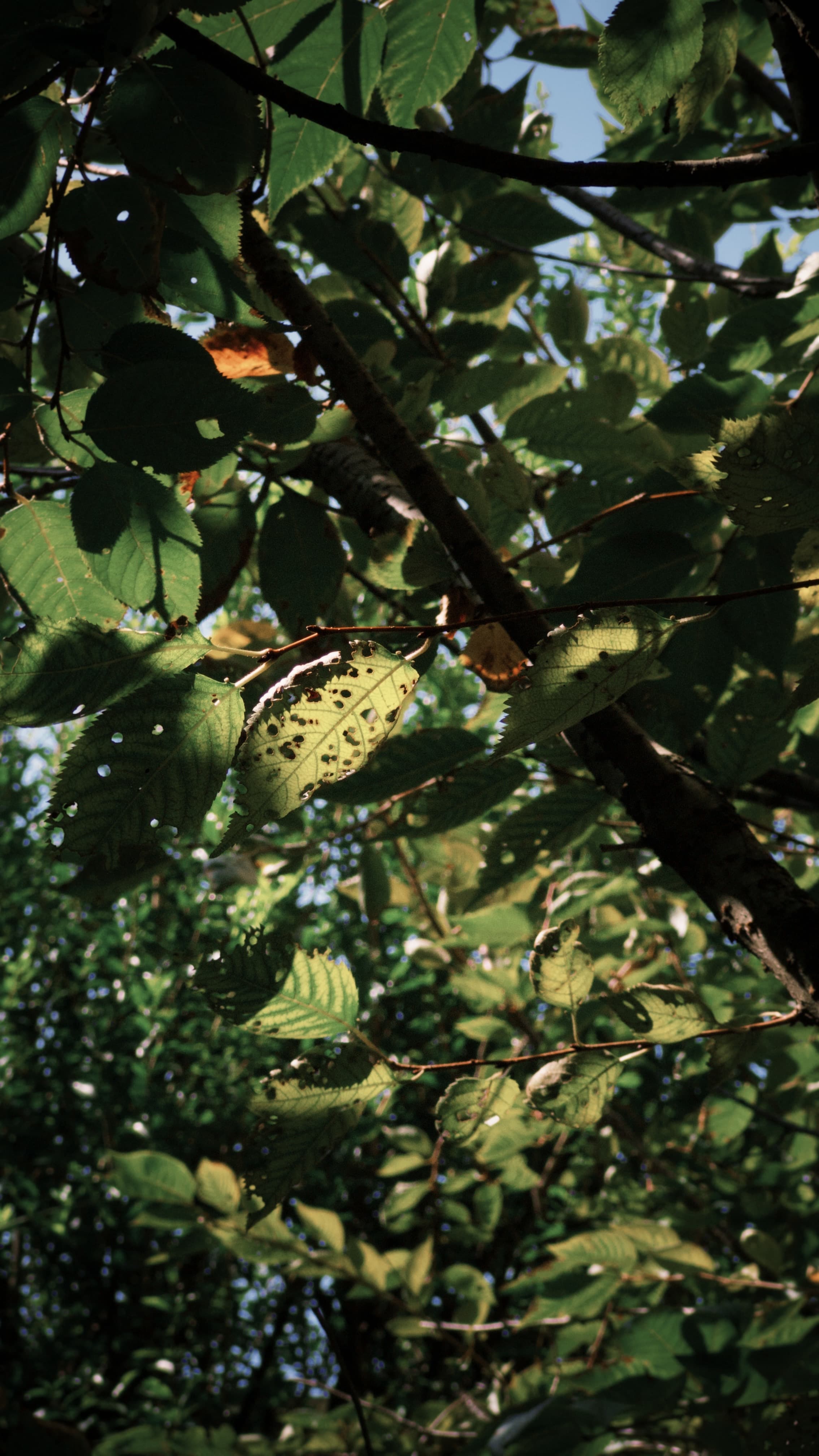 Fondazione Querini Stampalia — gallery image 14