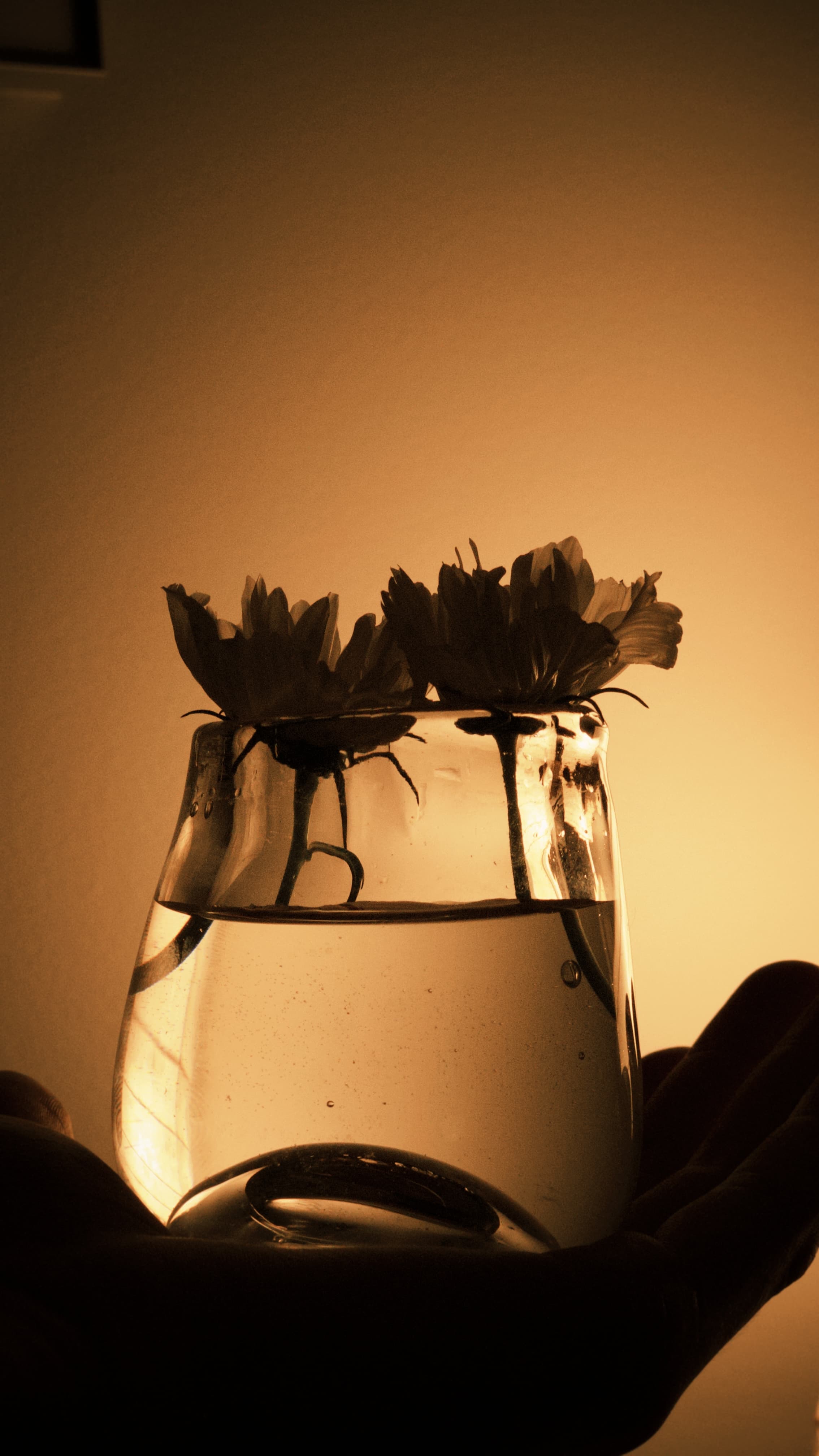 Artifacts: Glass — gallery image 2