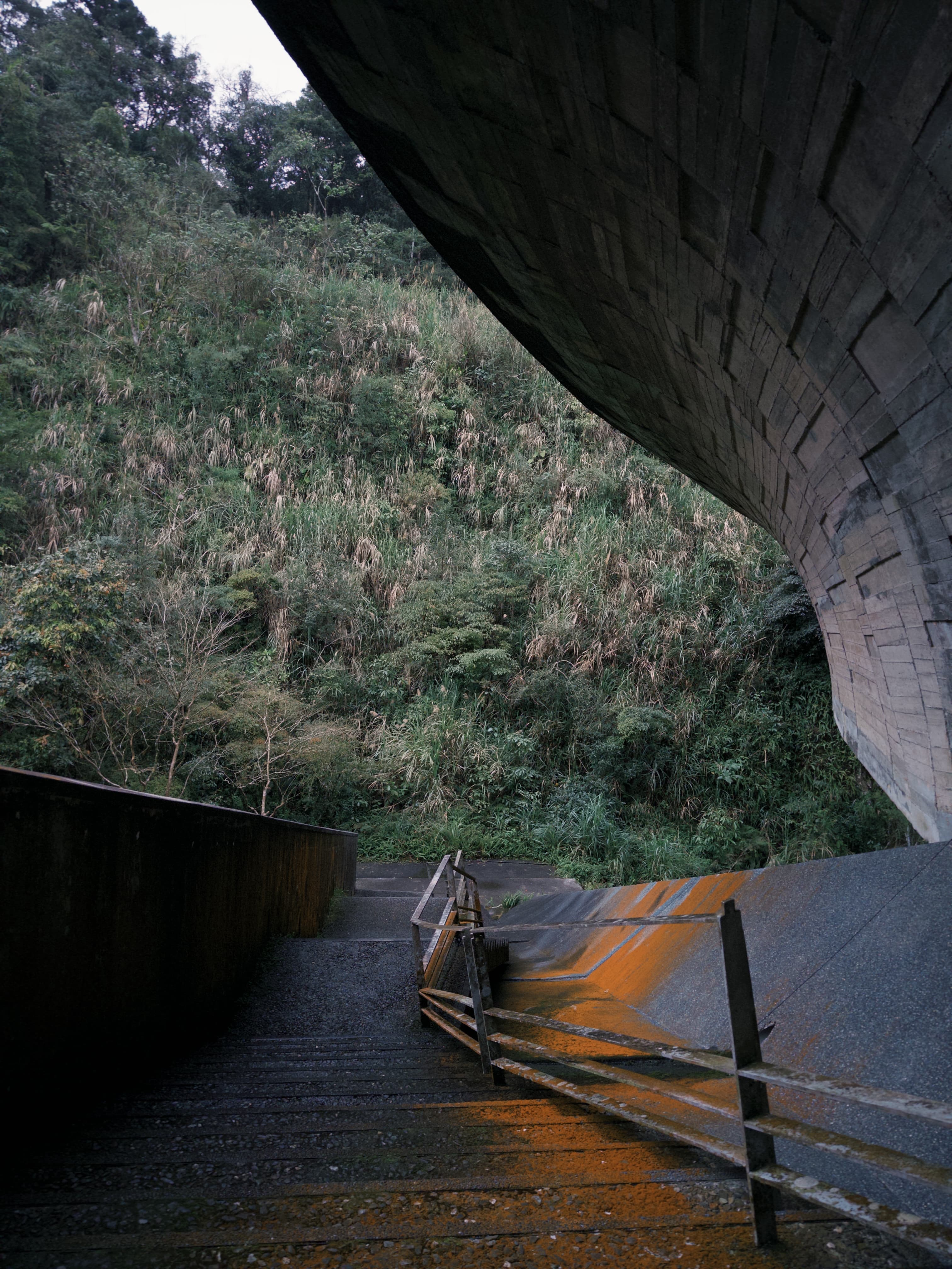 櫻花陵園 Cherry Blossom Cemetery