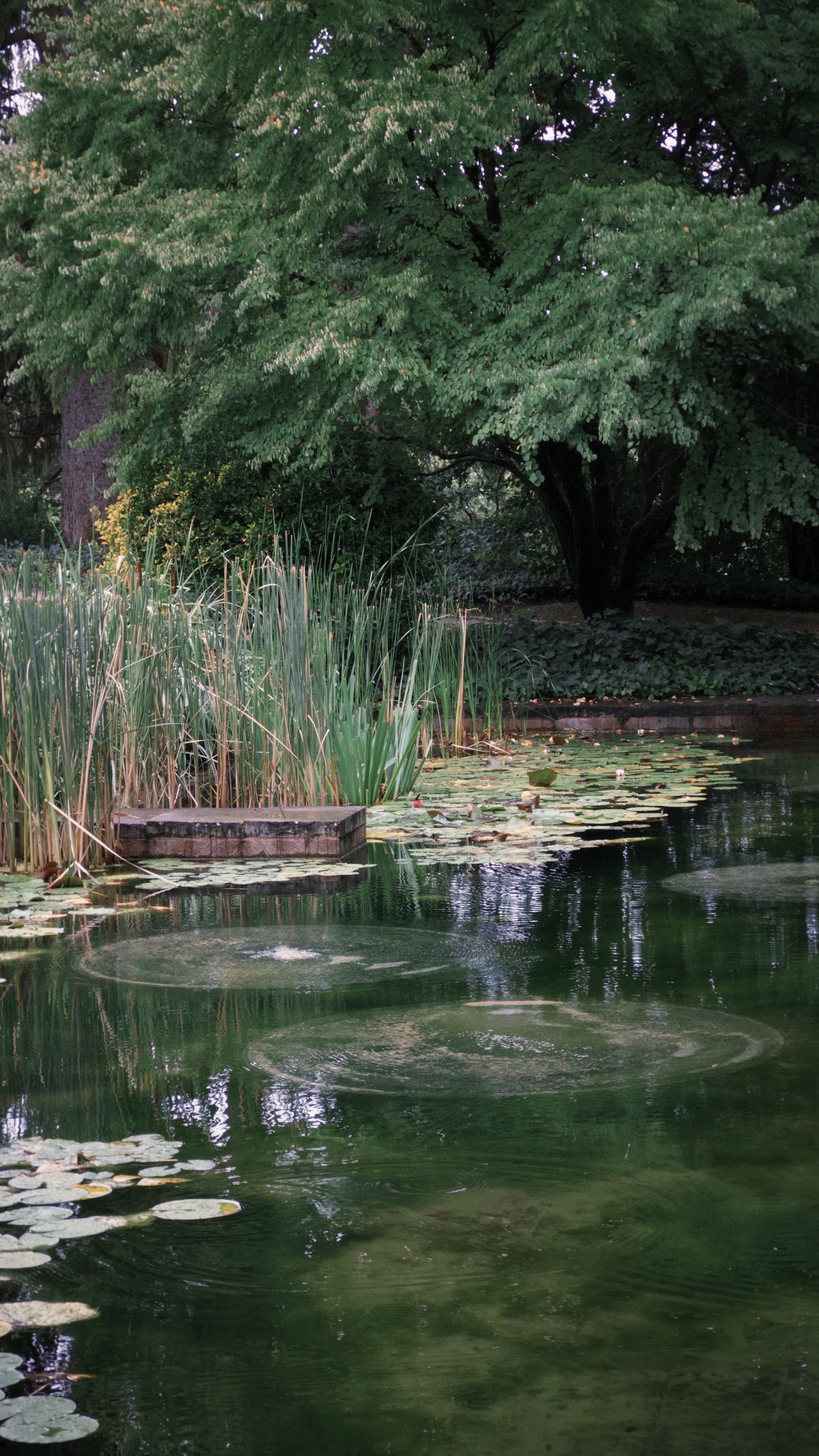 Fondation Beyeler — gallery image 2