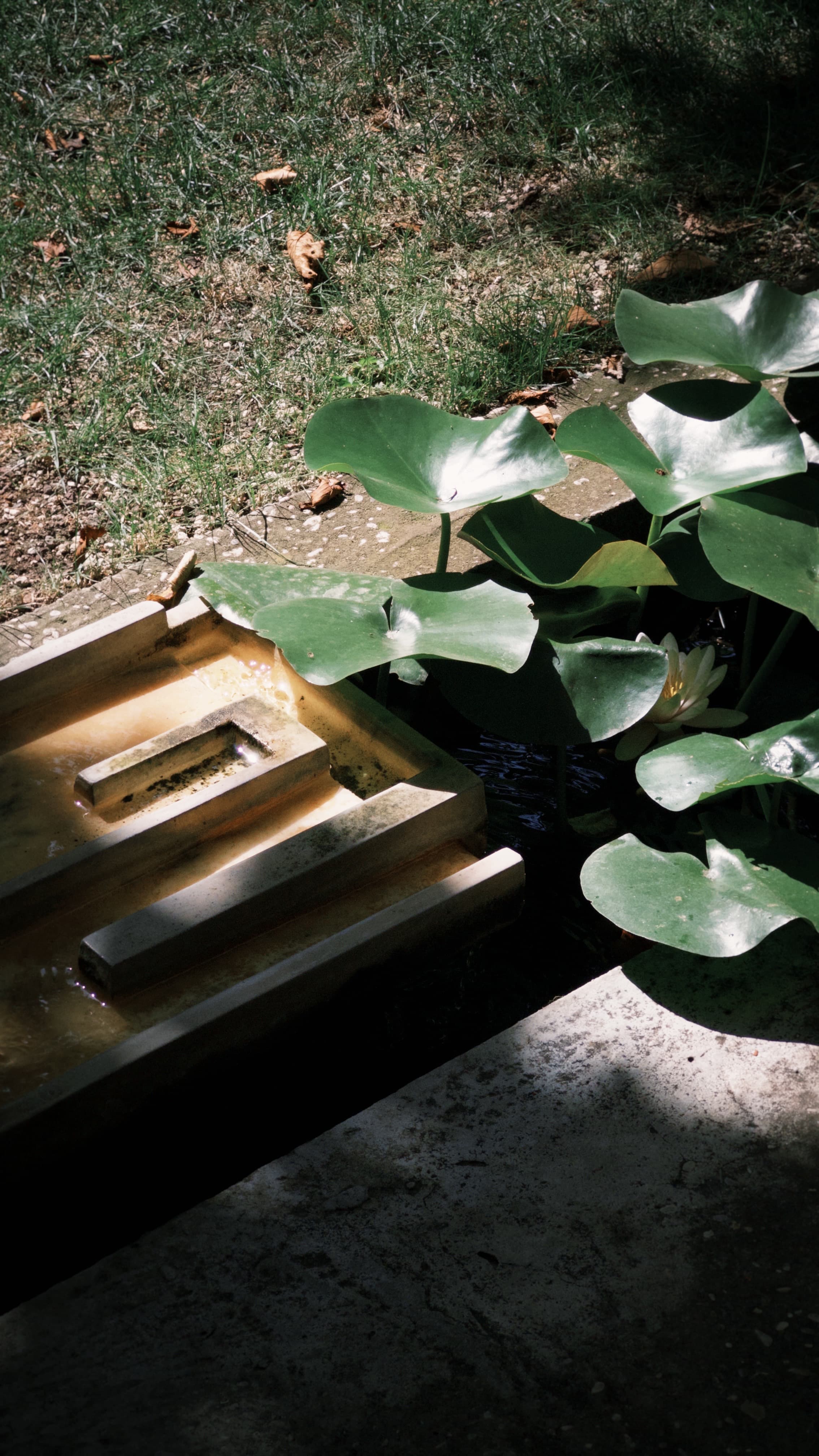 Fondazione Querini Stampalia — gallery image 11