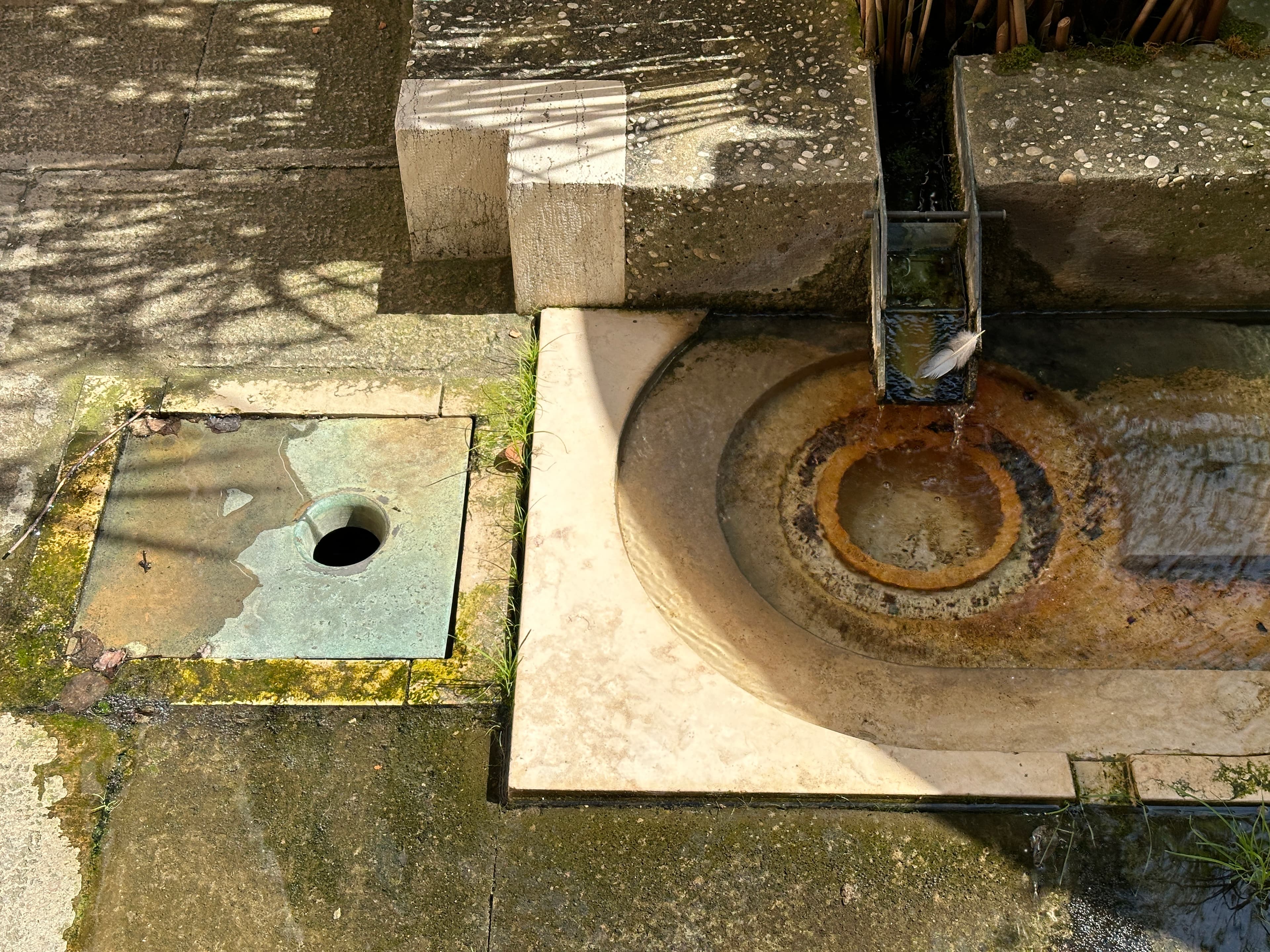 Fondazione Querini Stampalia — gallery image 9