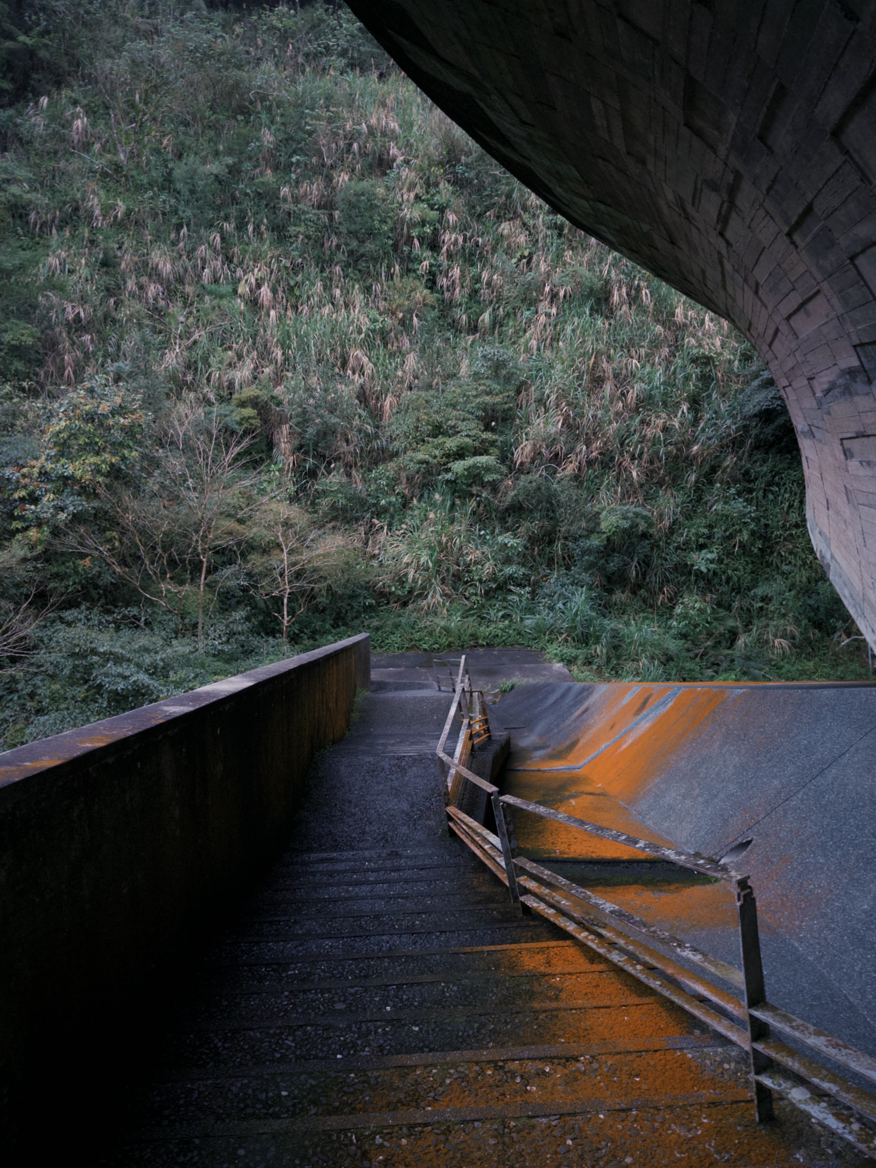 櫻花陵園 Cherry Blossom Cemetery — gallery image 4