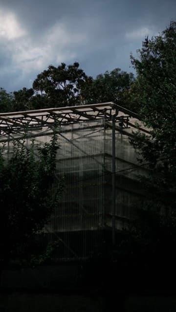 Villa Savoye — gallery image 3