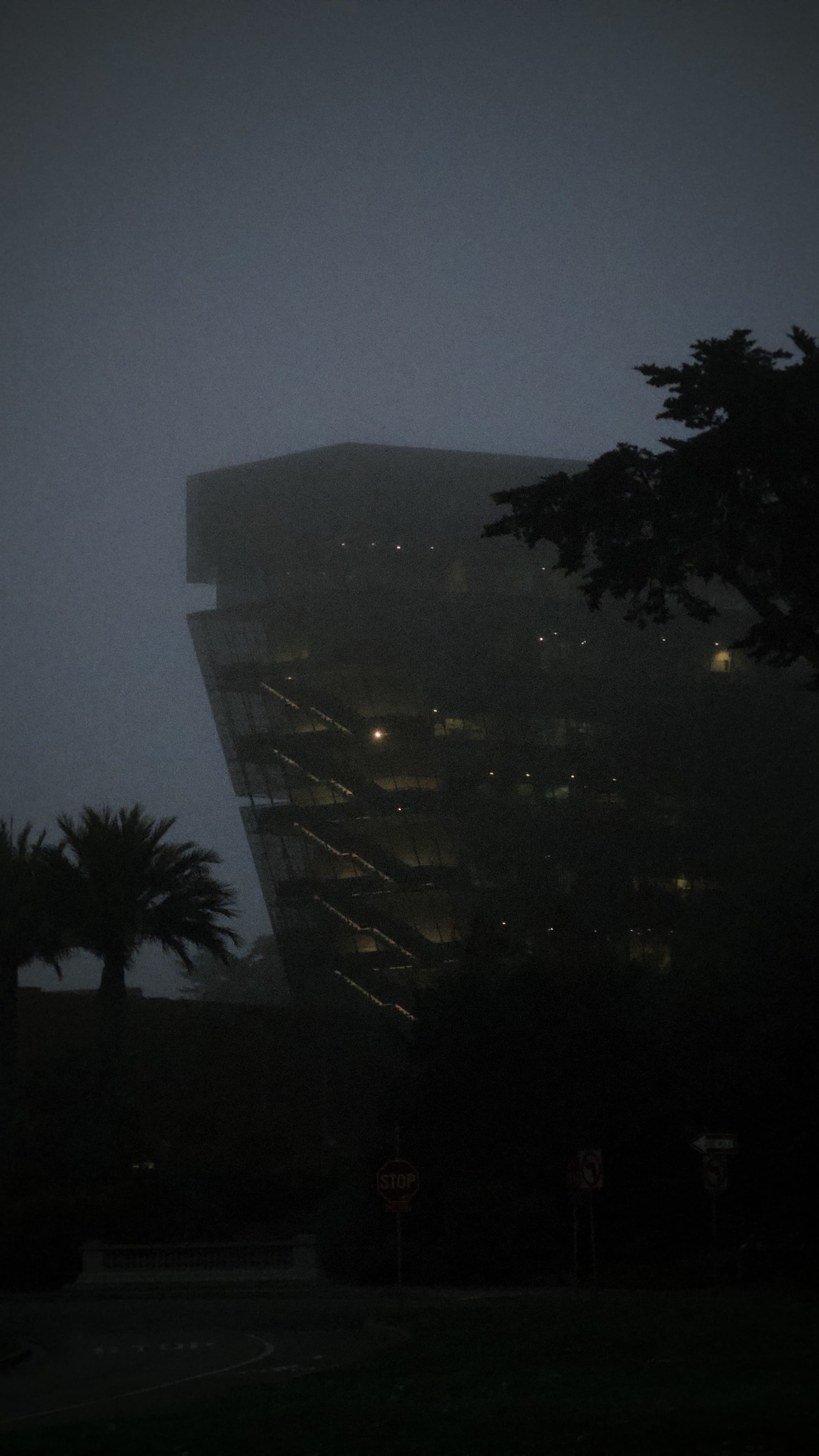 de Young Museum — gallery image 2