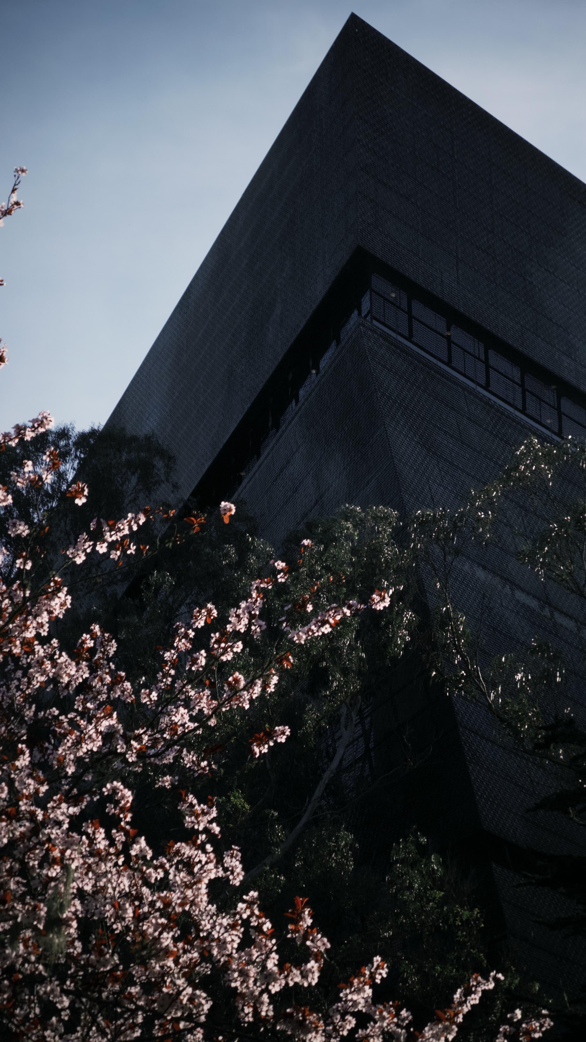 de Young Museum — gallery image 3